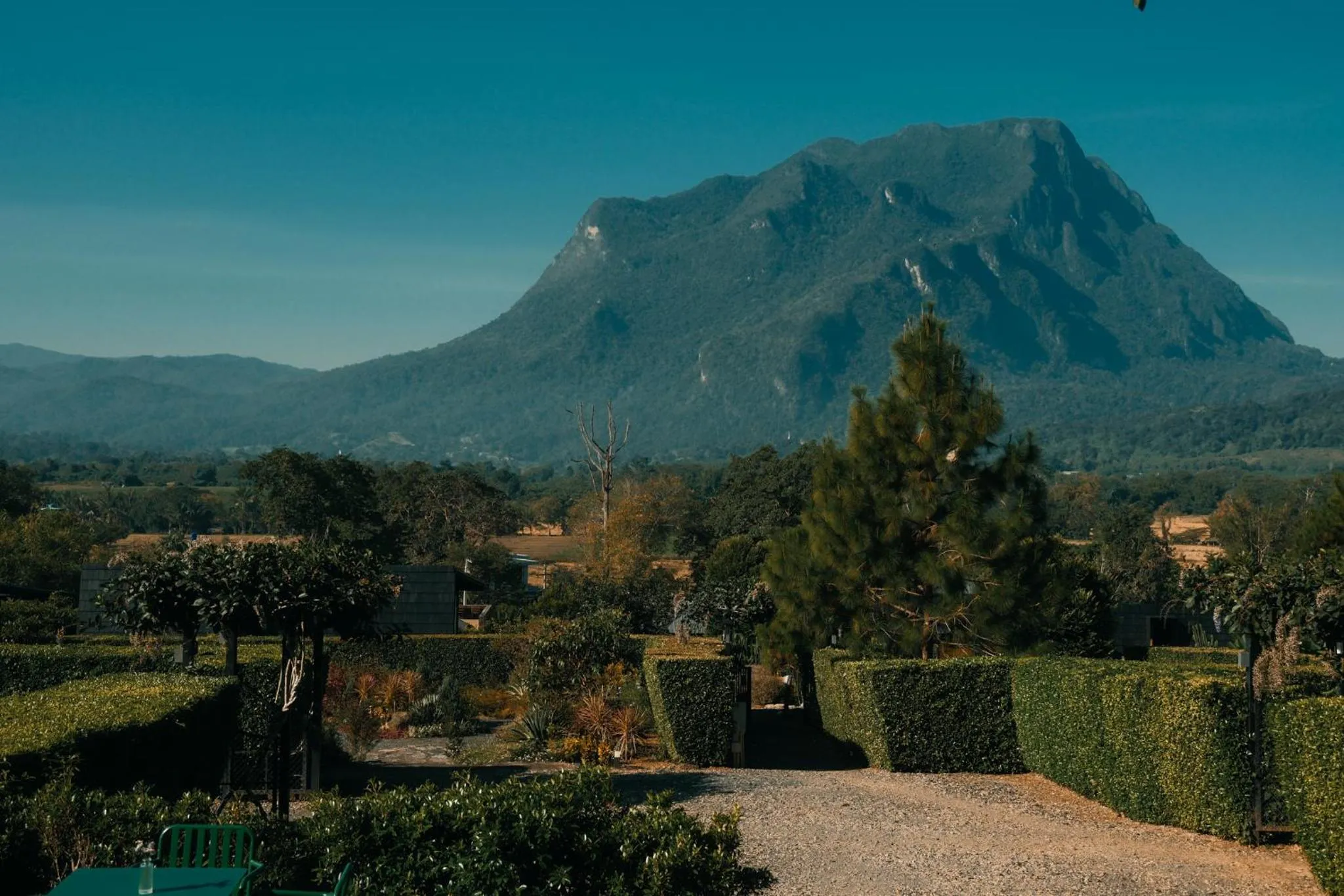 Natural landscape in The CAMPIAN