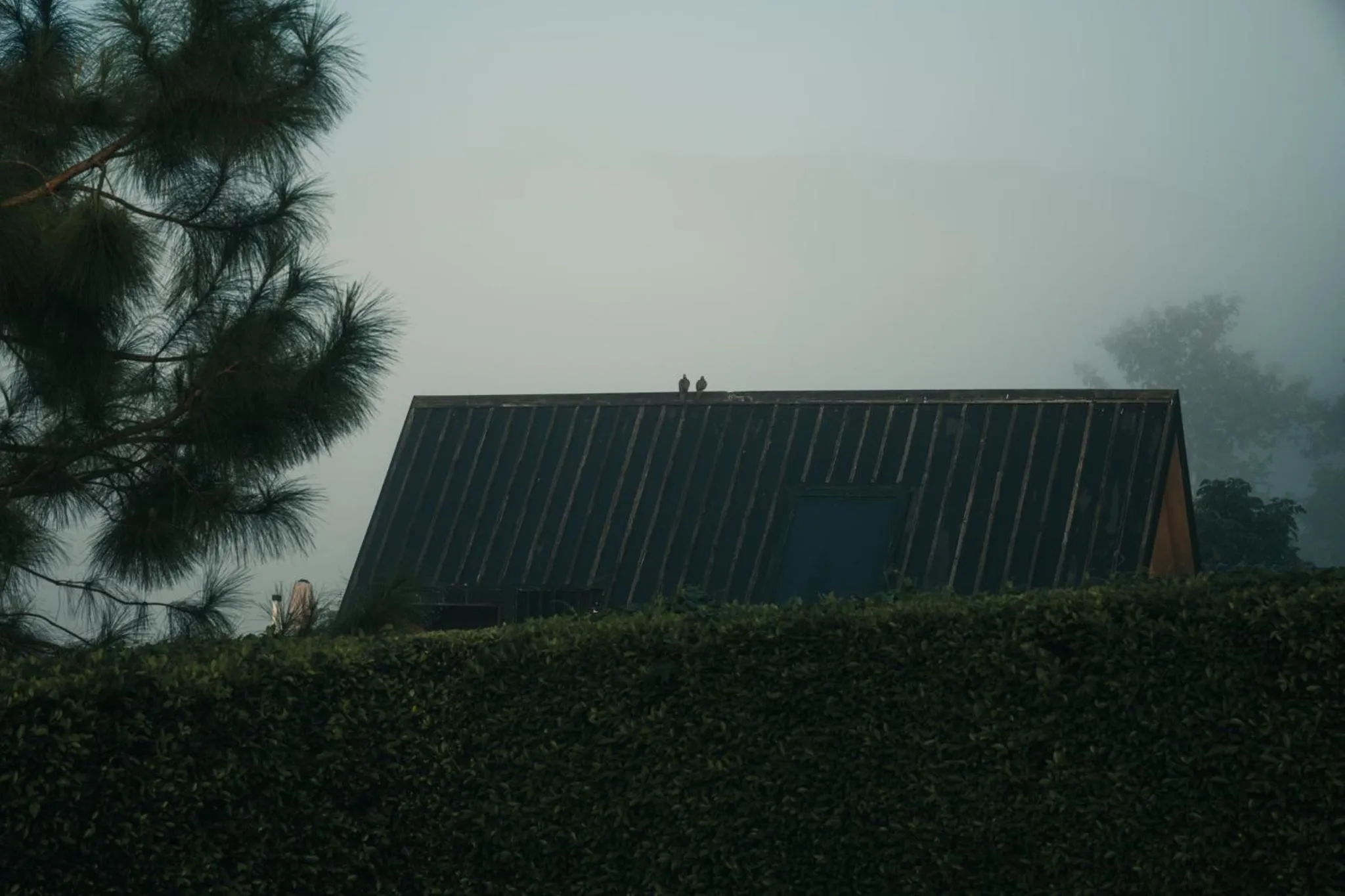 View (from property/room) in The CAMPIAN