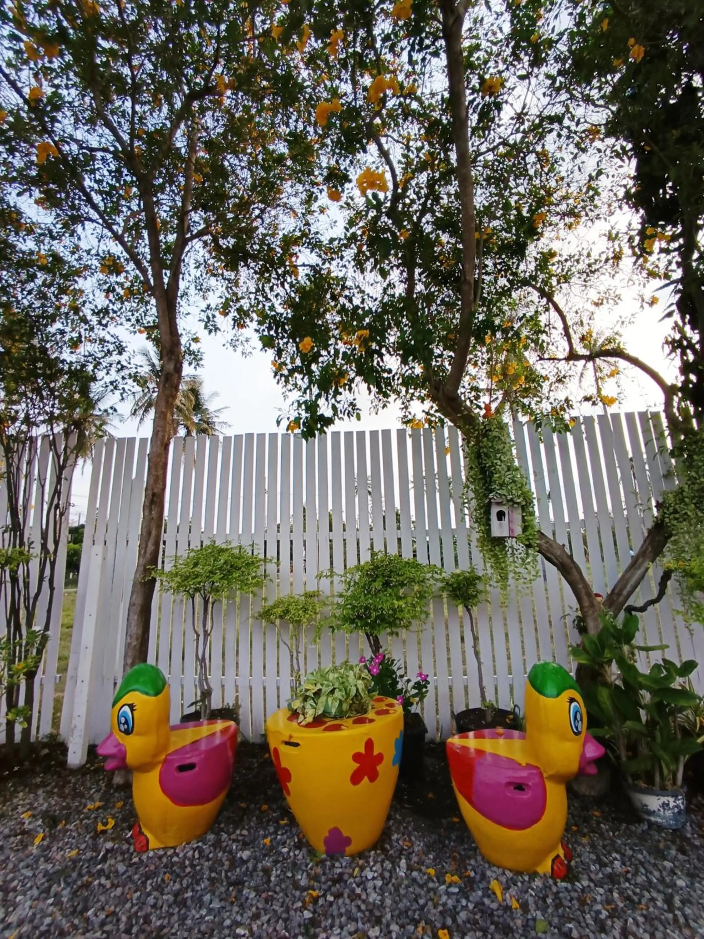 Garden view in Saan Rak Resort