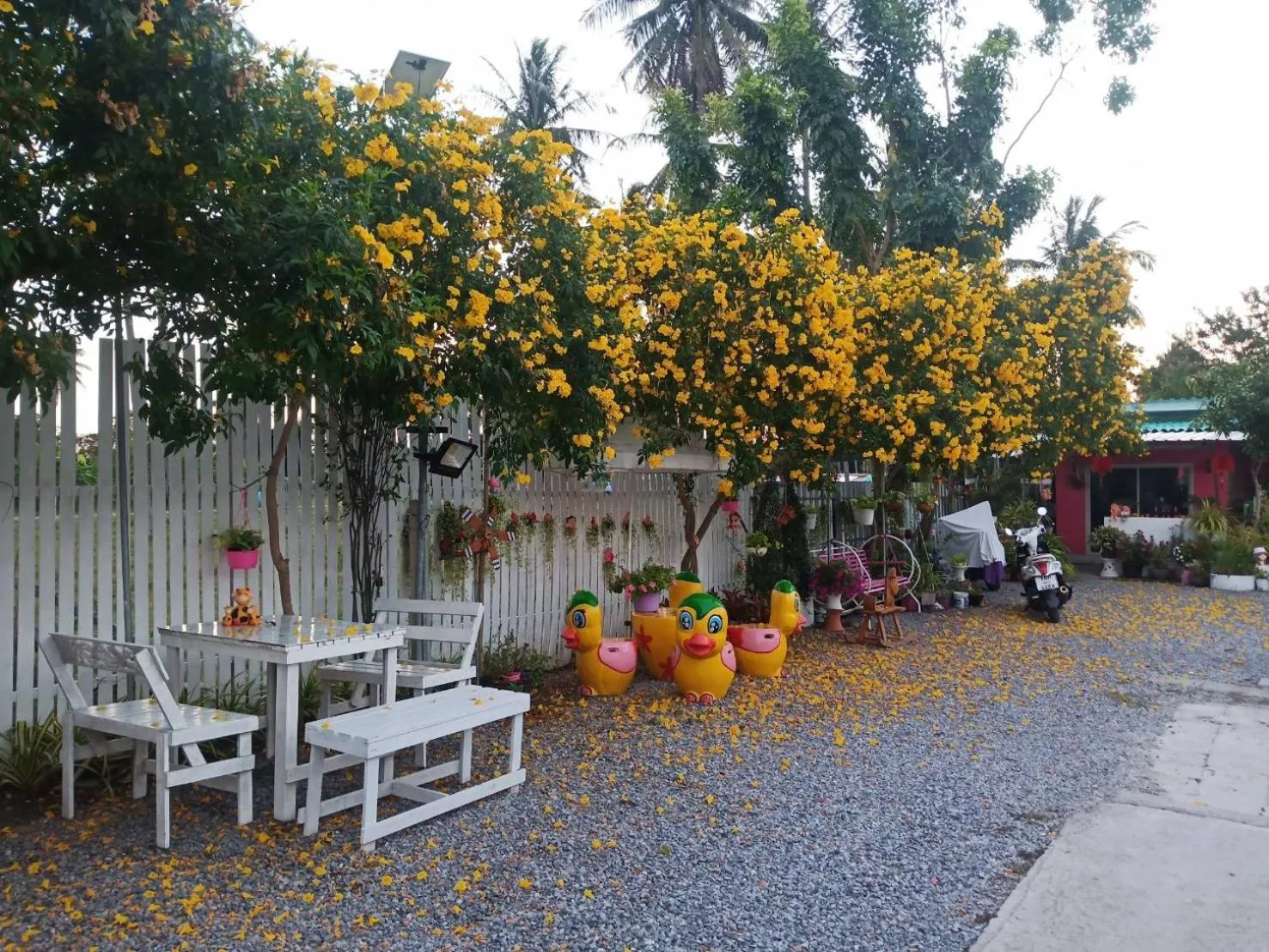 Spring in Saan Rak Resort