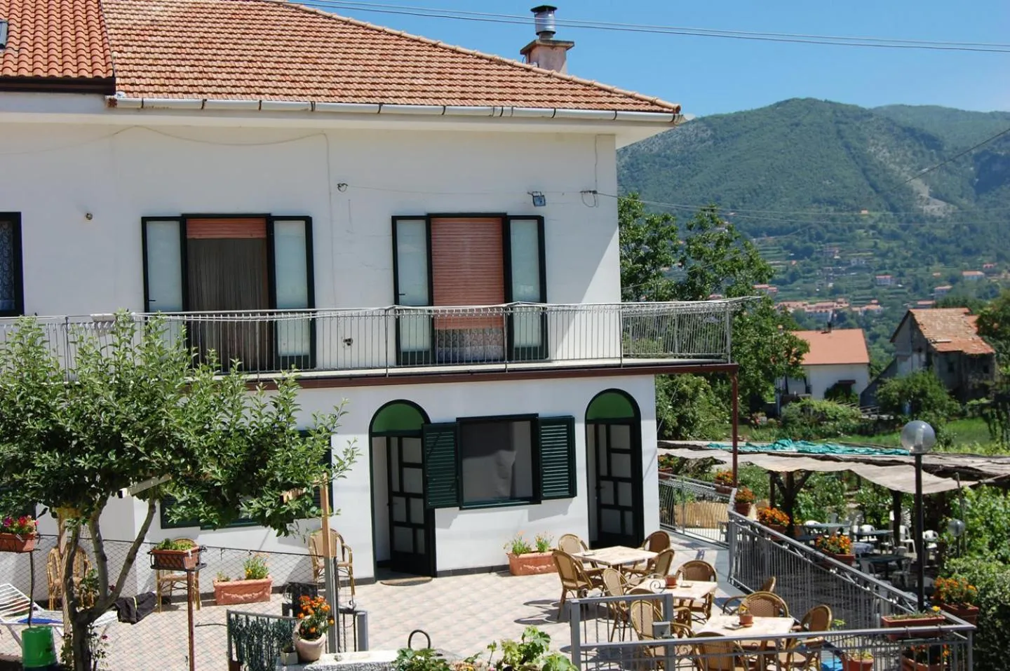 Property building in Rabbit