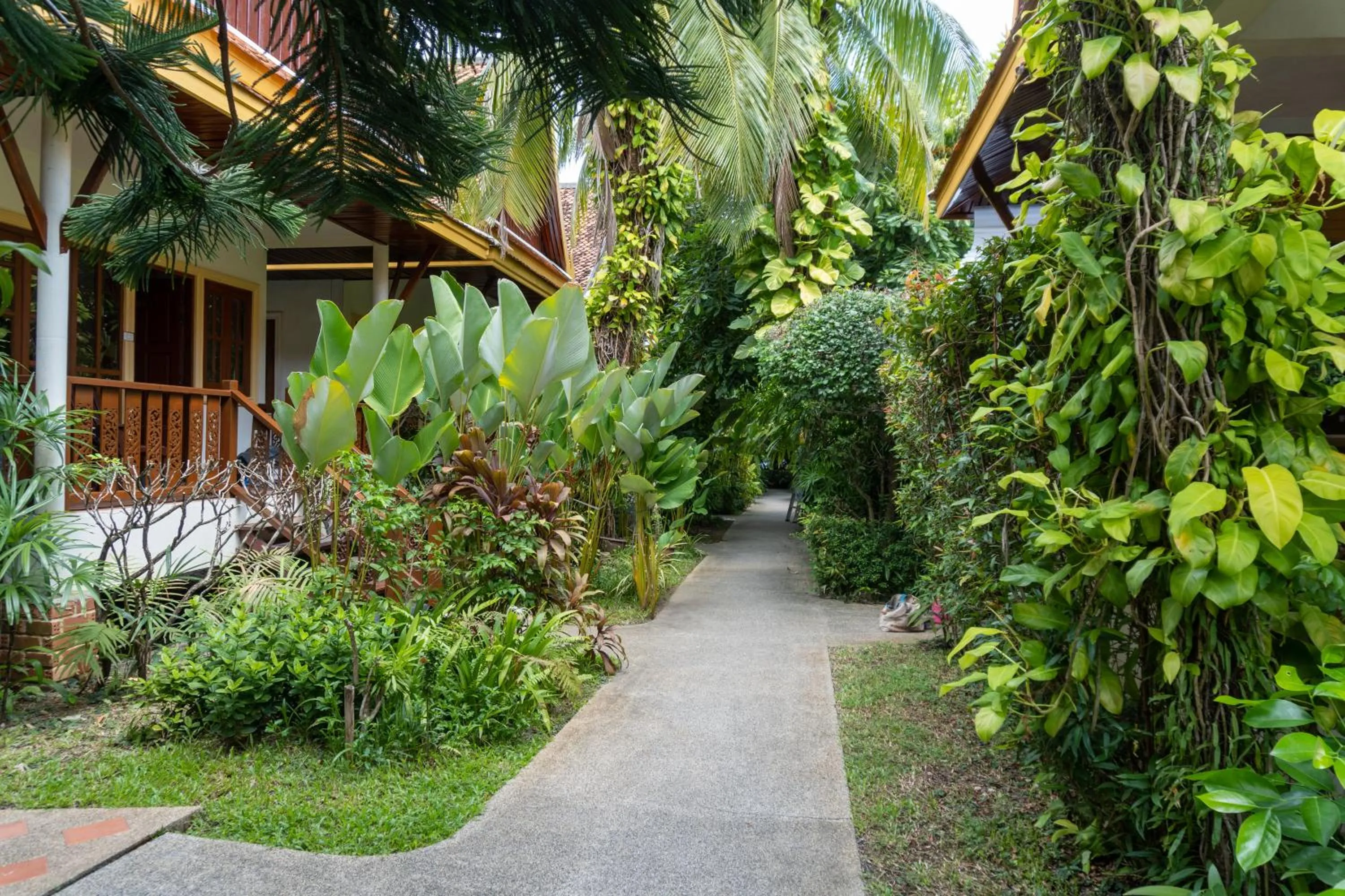 Property building in Bangtao Village Resort - SHA