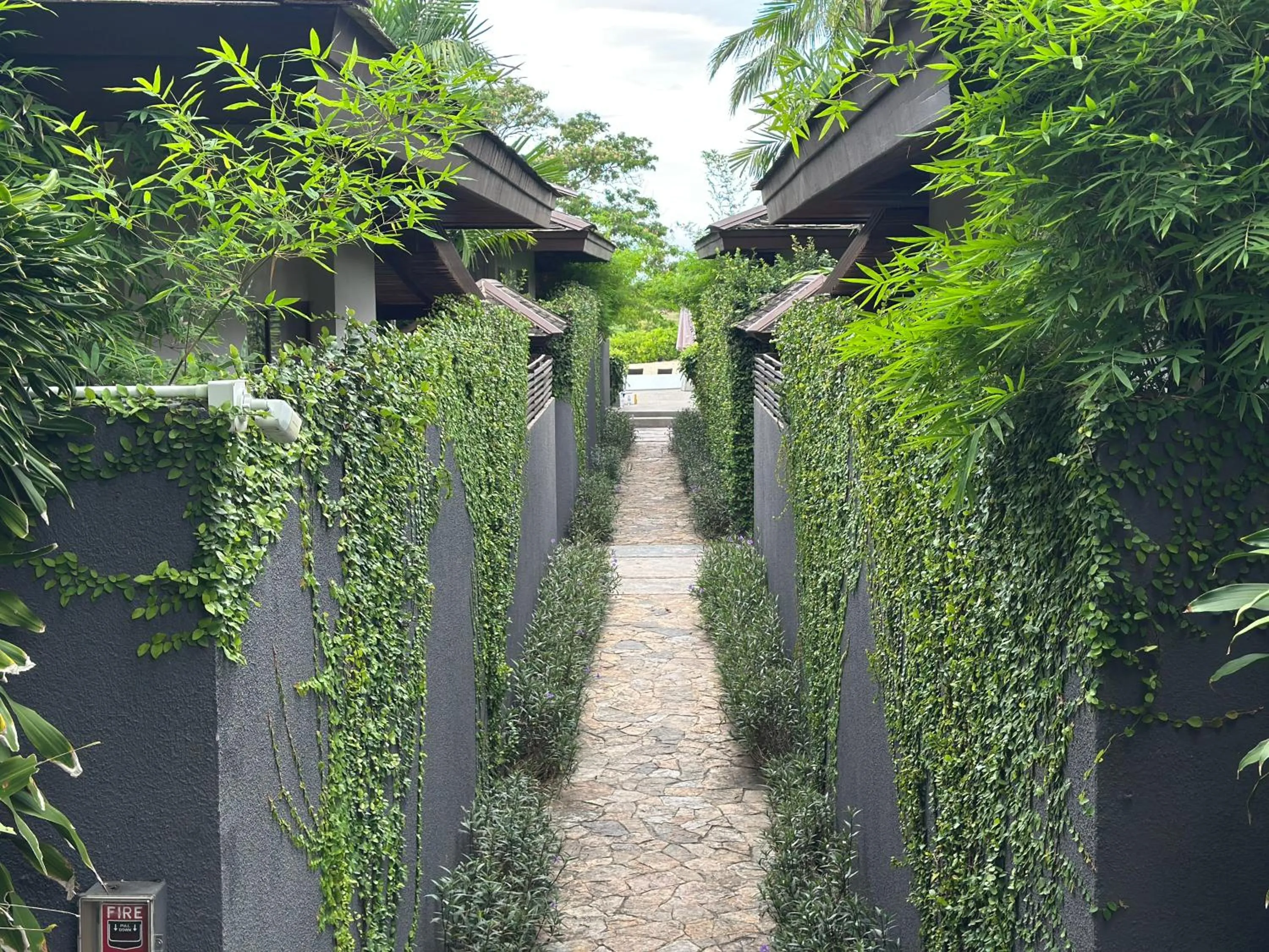 Area and facilities in Deva Beach Resort Samui