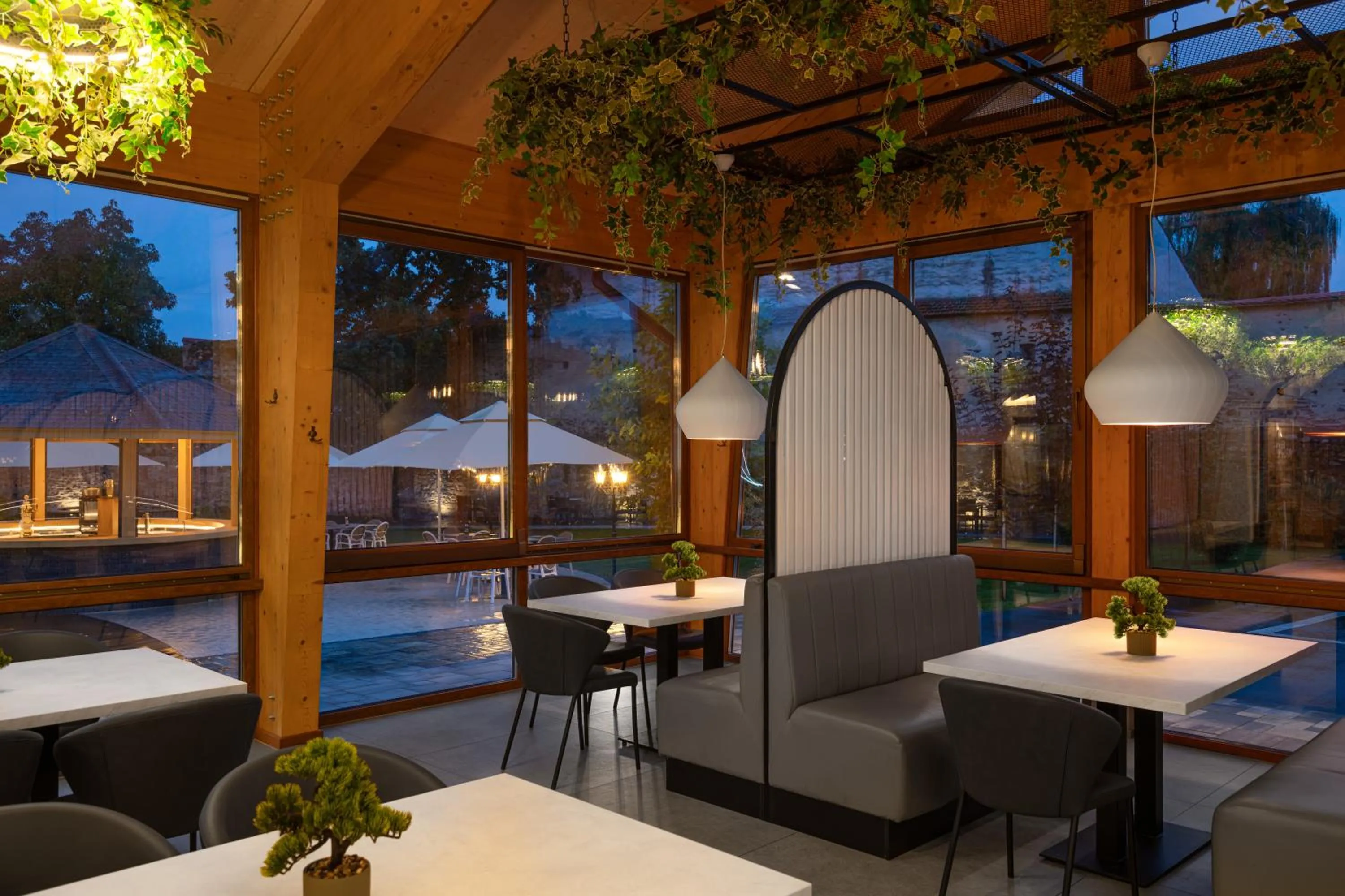 Restaurant/places to eat in Hotel Leul de Aur