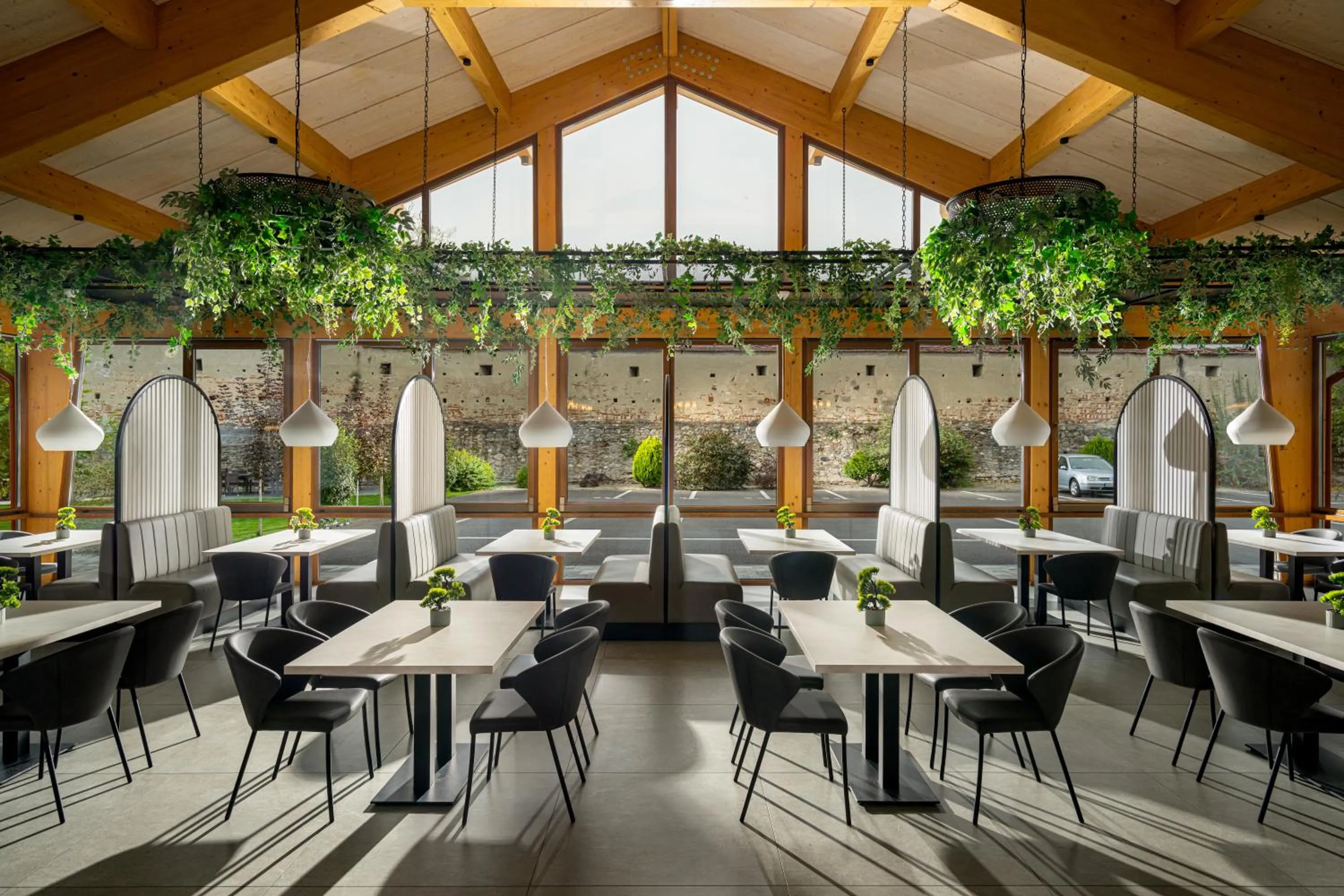 Restaurant/places to eat in Hotel Leul de Aur