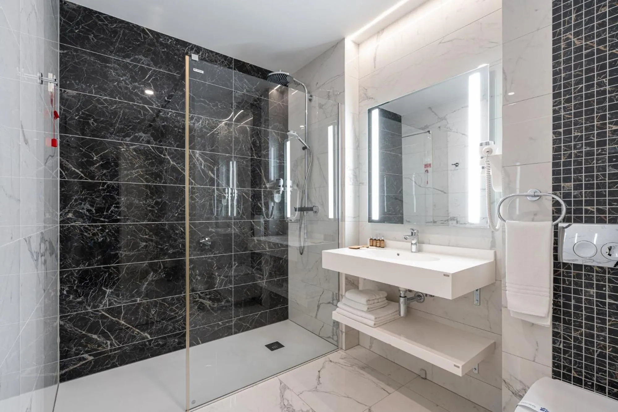 Shower in Hotel Leul de Aur