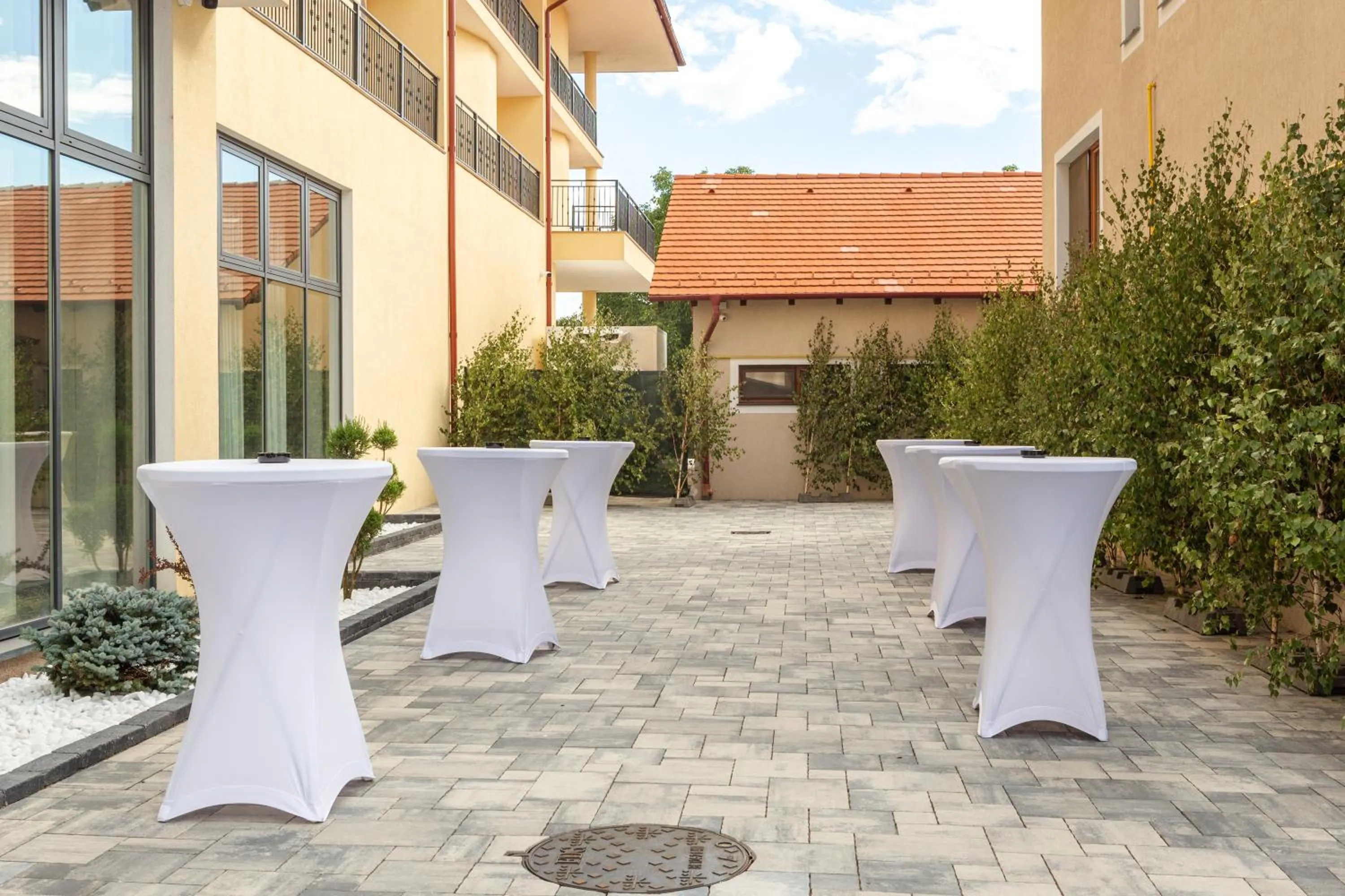 Property building in Hotel Leul de Aur