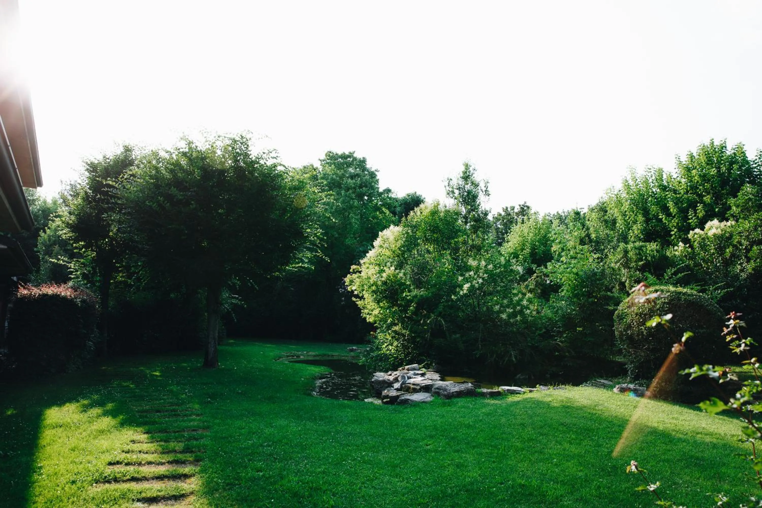 Garden in Il Leone D'Oro