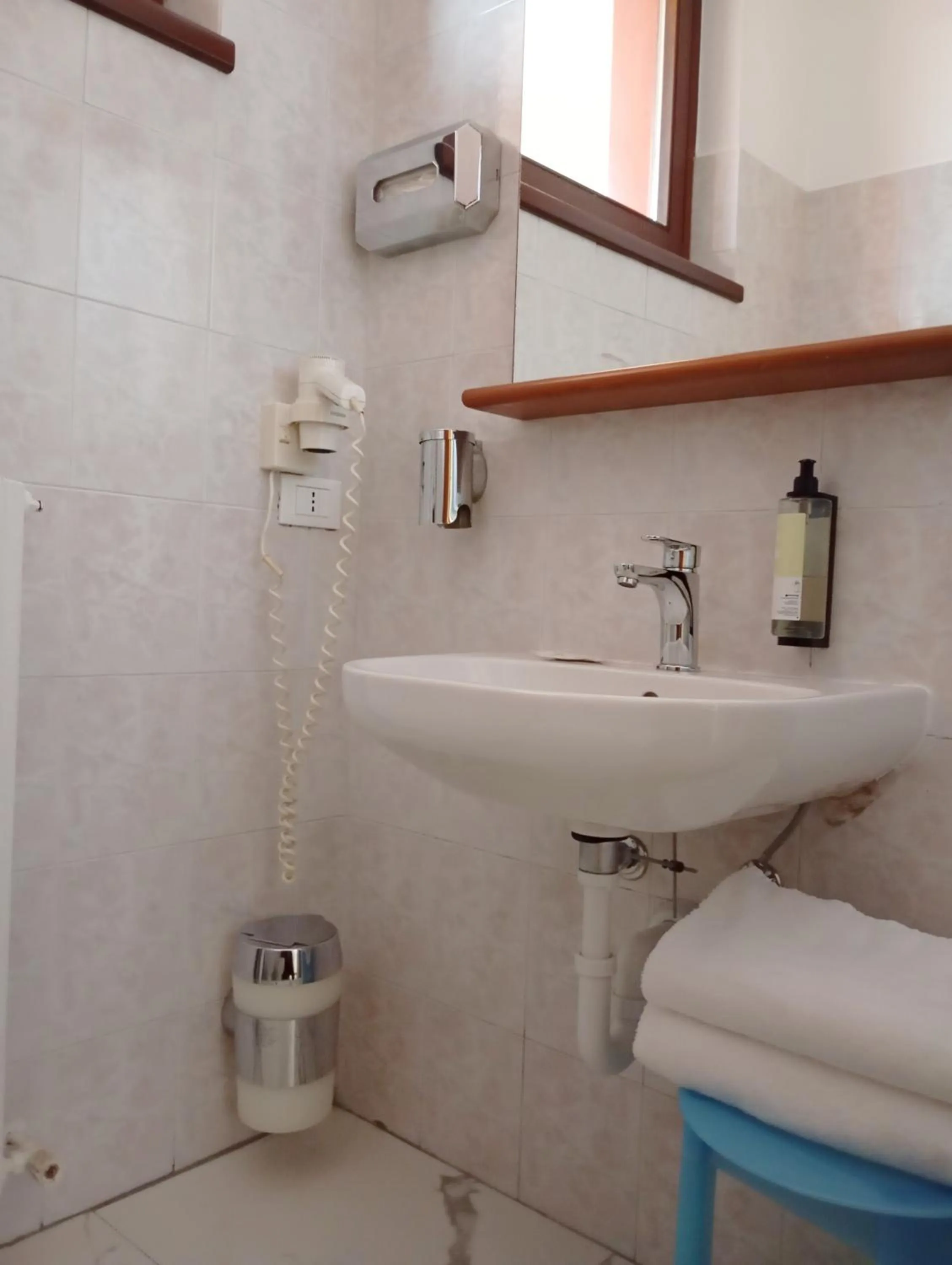 Toilet in Il Leone D'Oro