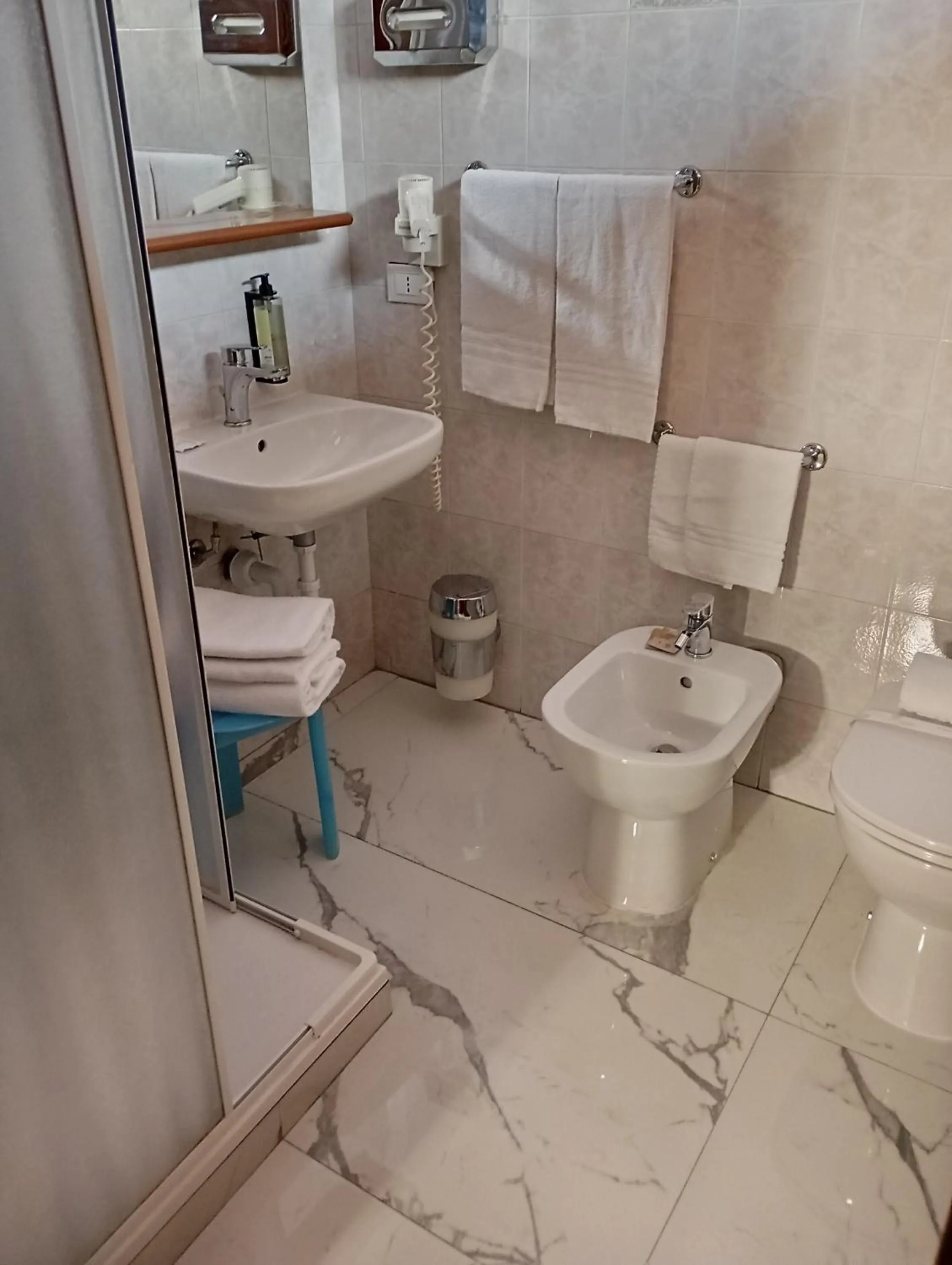 Toilet in Il Leone D'Oro