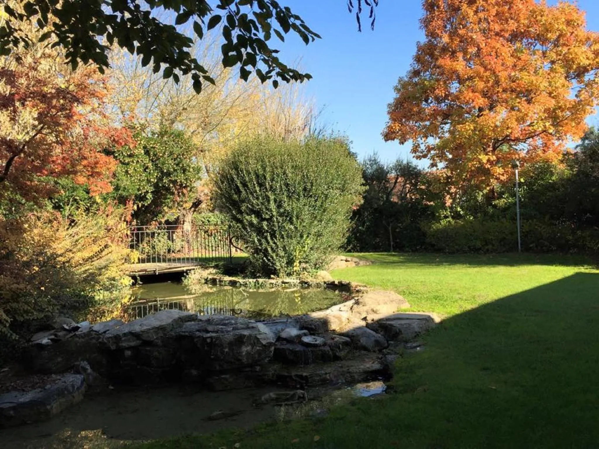 Garden in Il Leone D'Oro