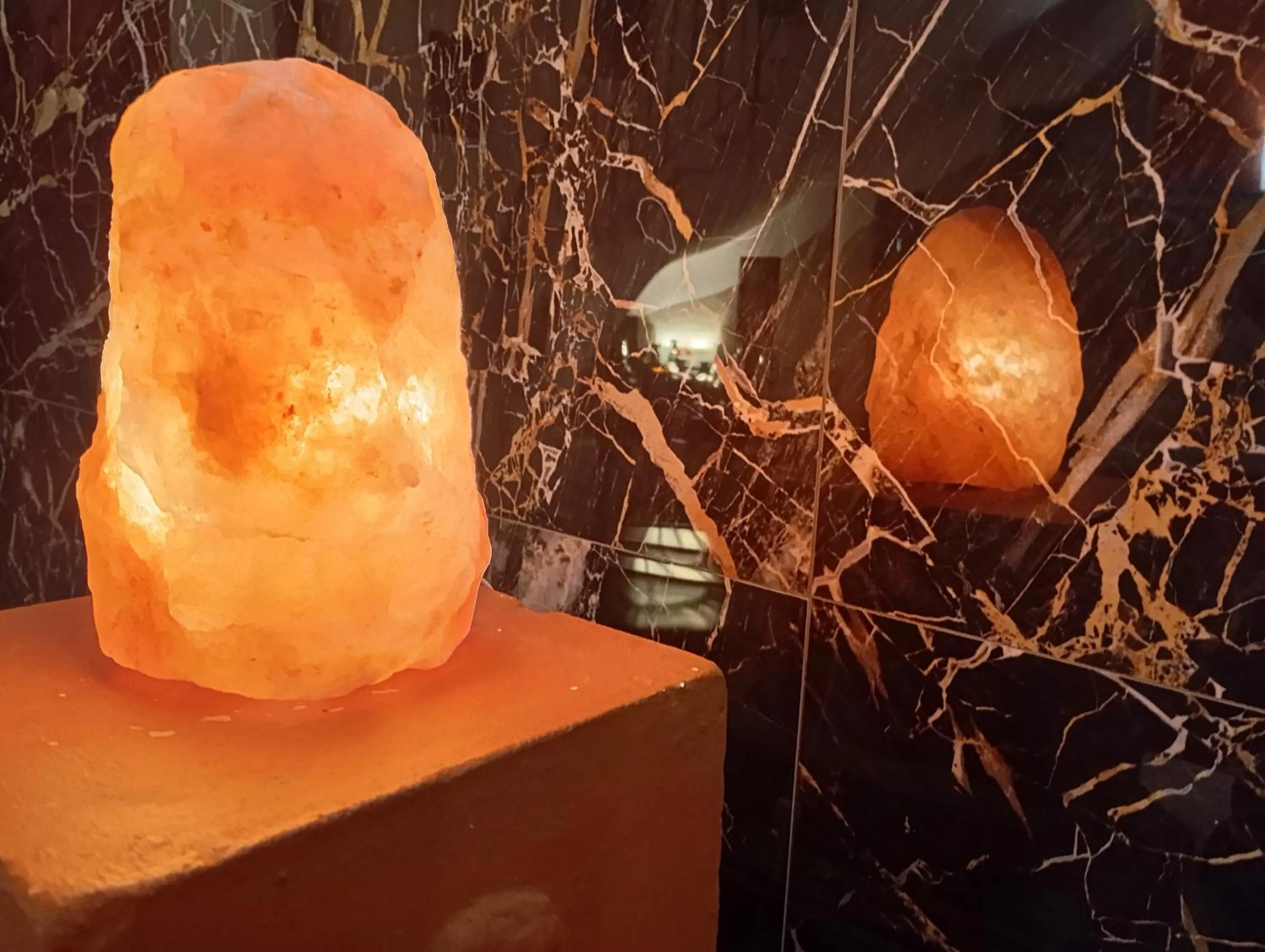 Lounge or bar in Il Leone D'Oro