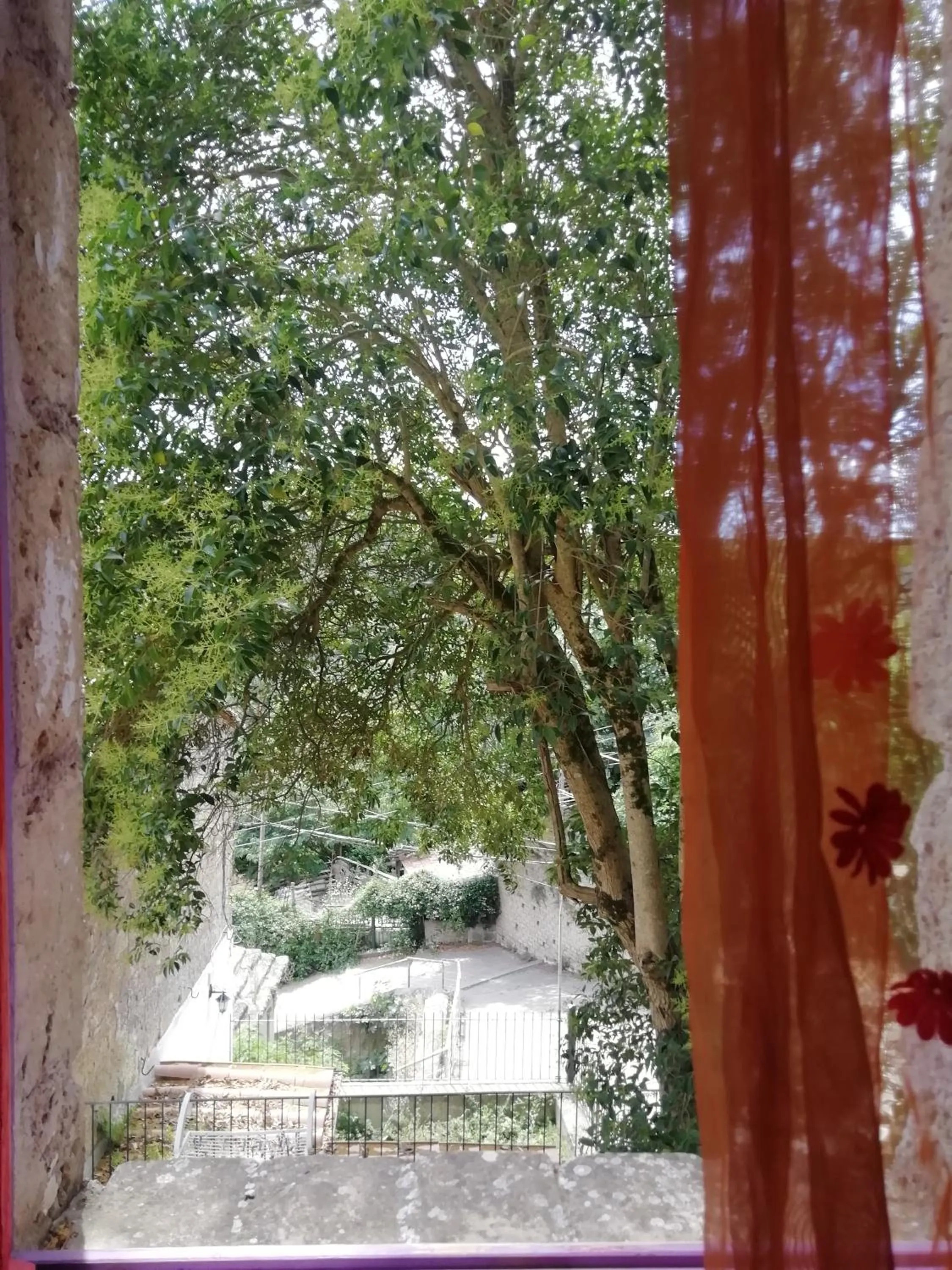 Garden view in Suite d'Artista Calcata