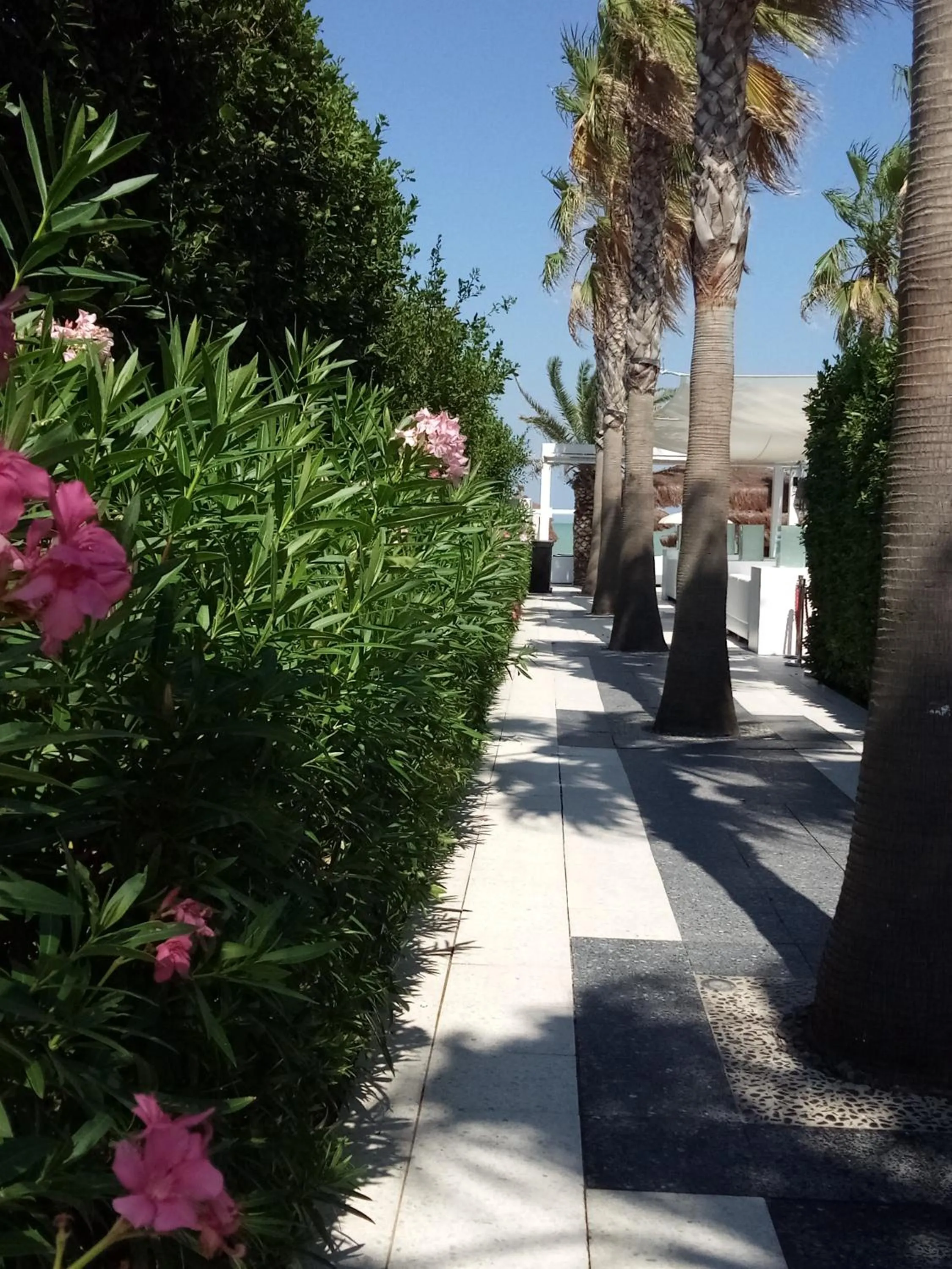 Neighbourhood in Hotel Chiaraluna