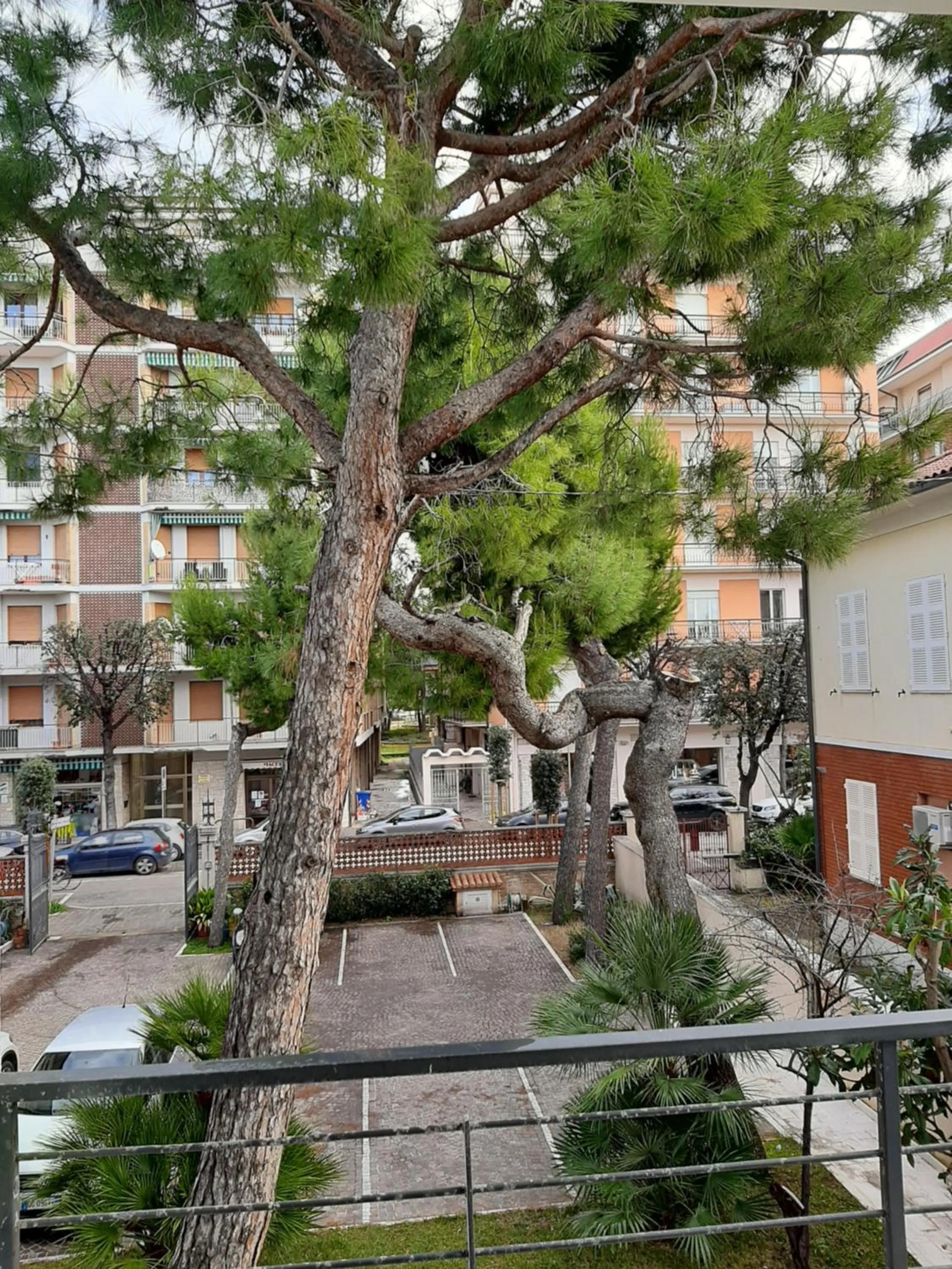Garden in Hotel Chiaraluna