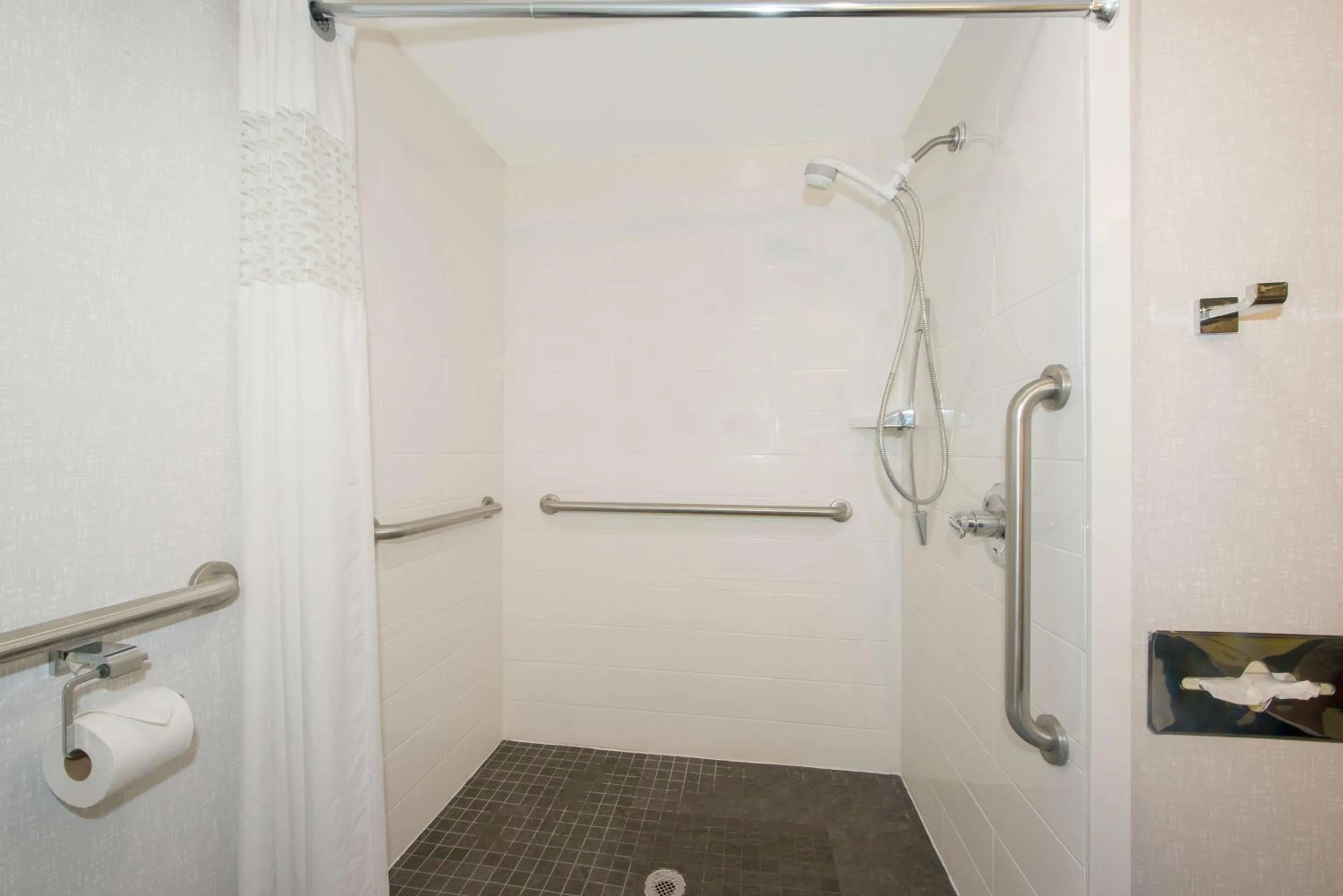 Bathroom in Hampton Inn Gaffney