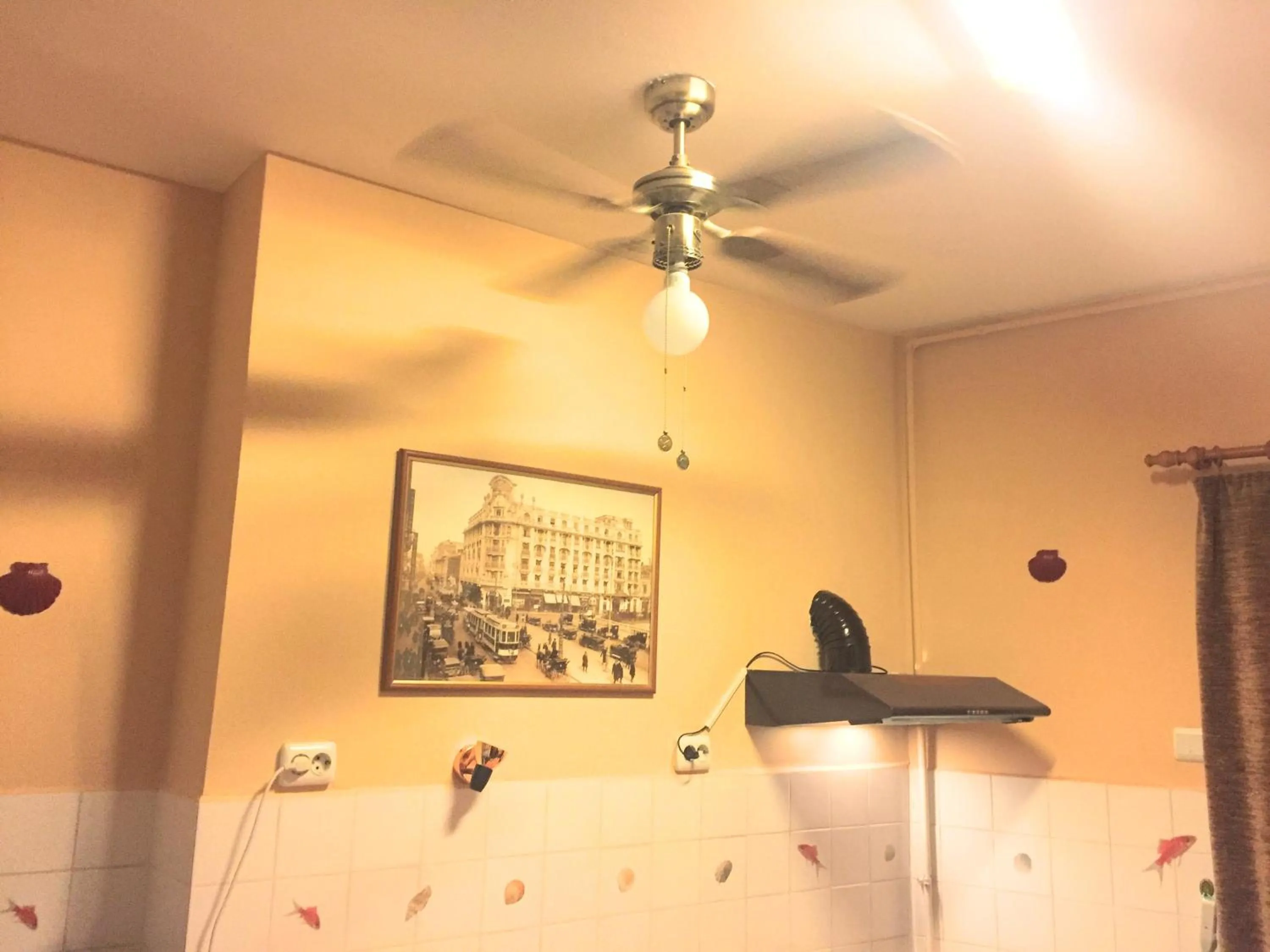 Dining area in RomPromo Plus Accommodation