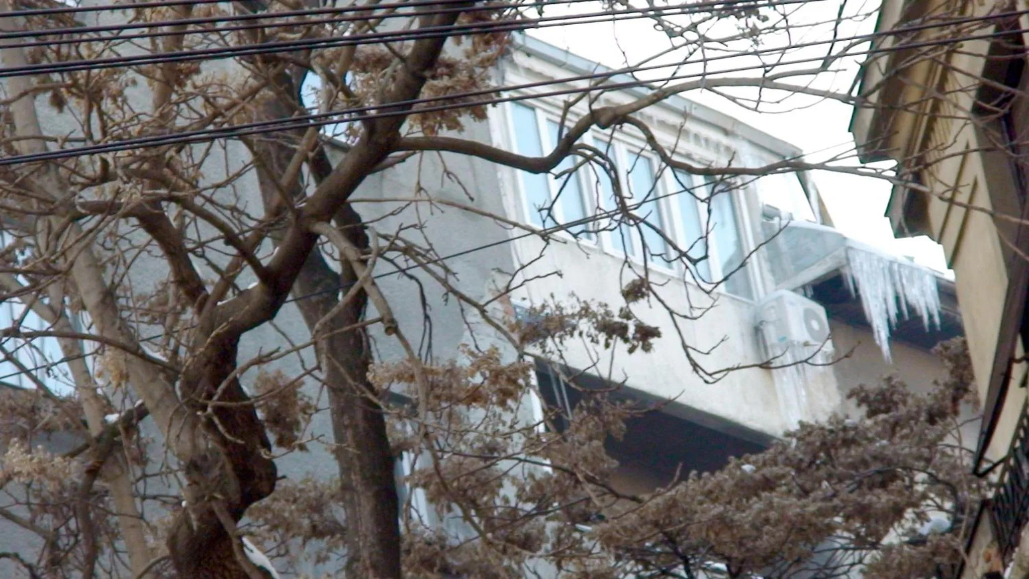 View (from property/room) in RomPromo Plus Accommodation