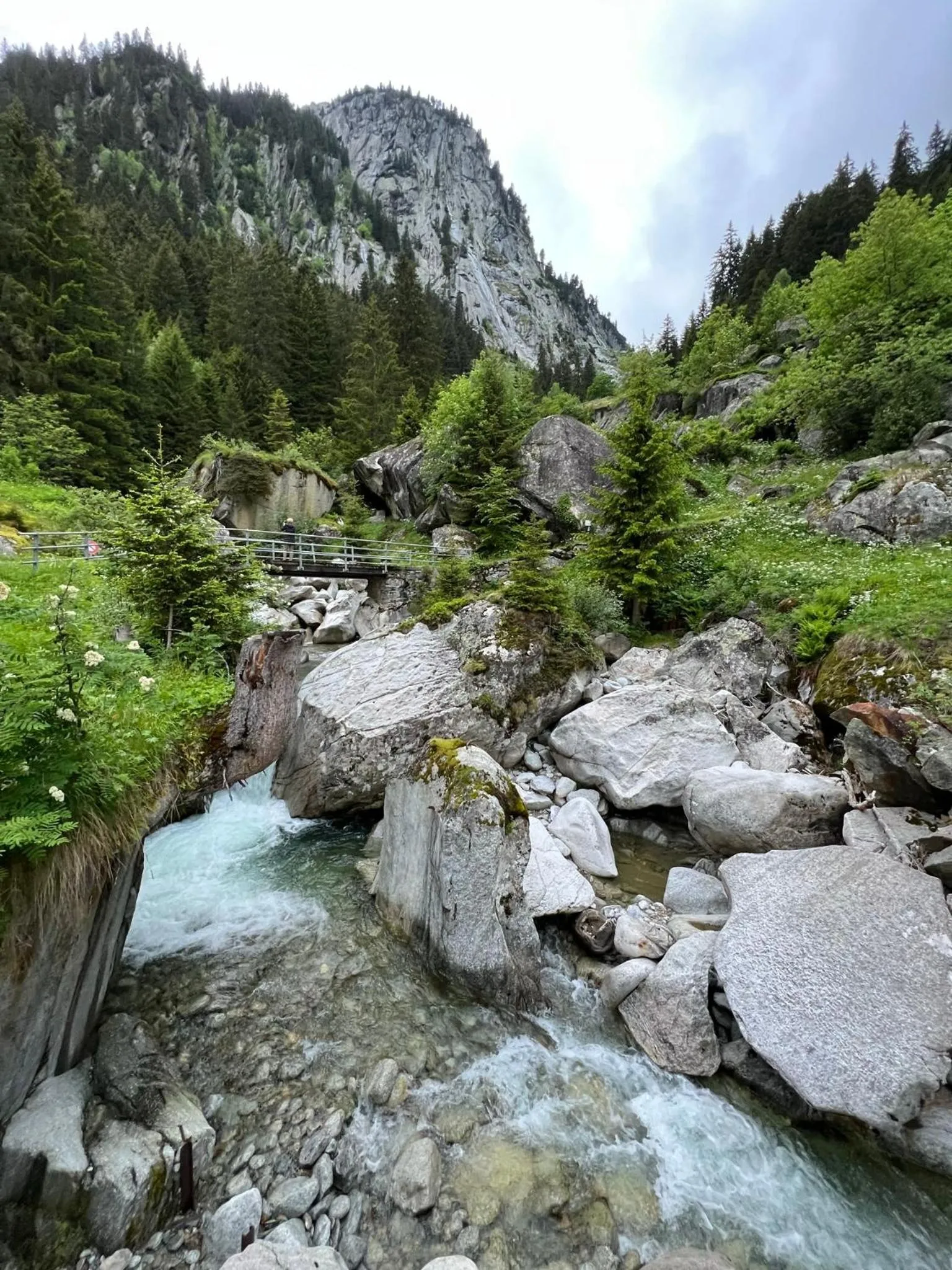 Natural landscape in Weisses Rössli only Bed & Breakfast self check-in mit Sauna extra