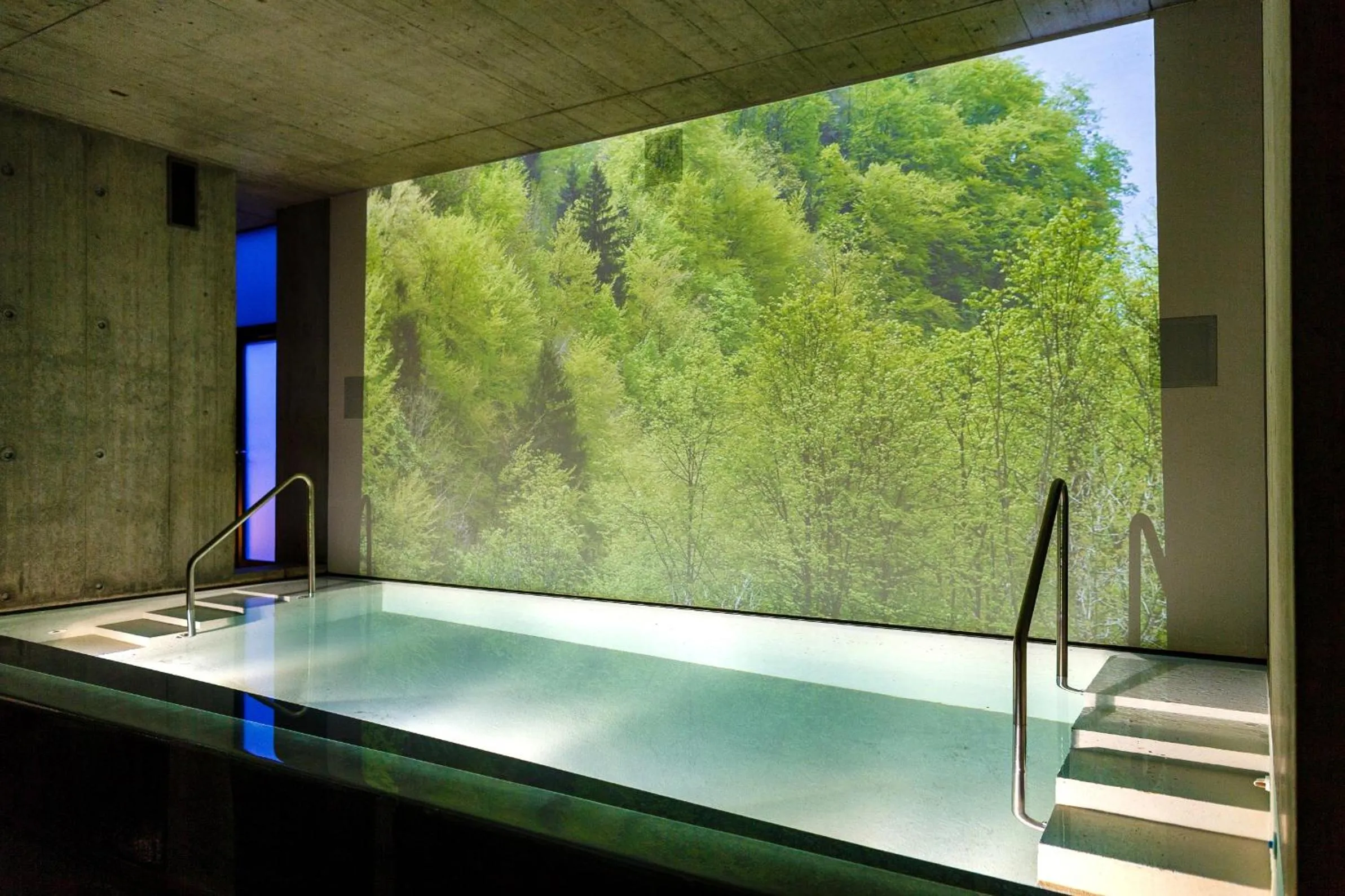 Spa and wellness centre/facilities in Hotel Bleichibeiz