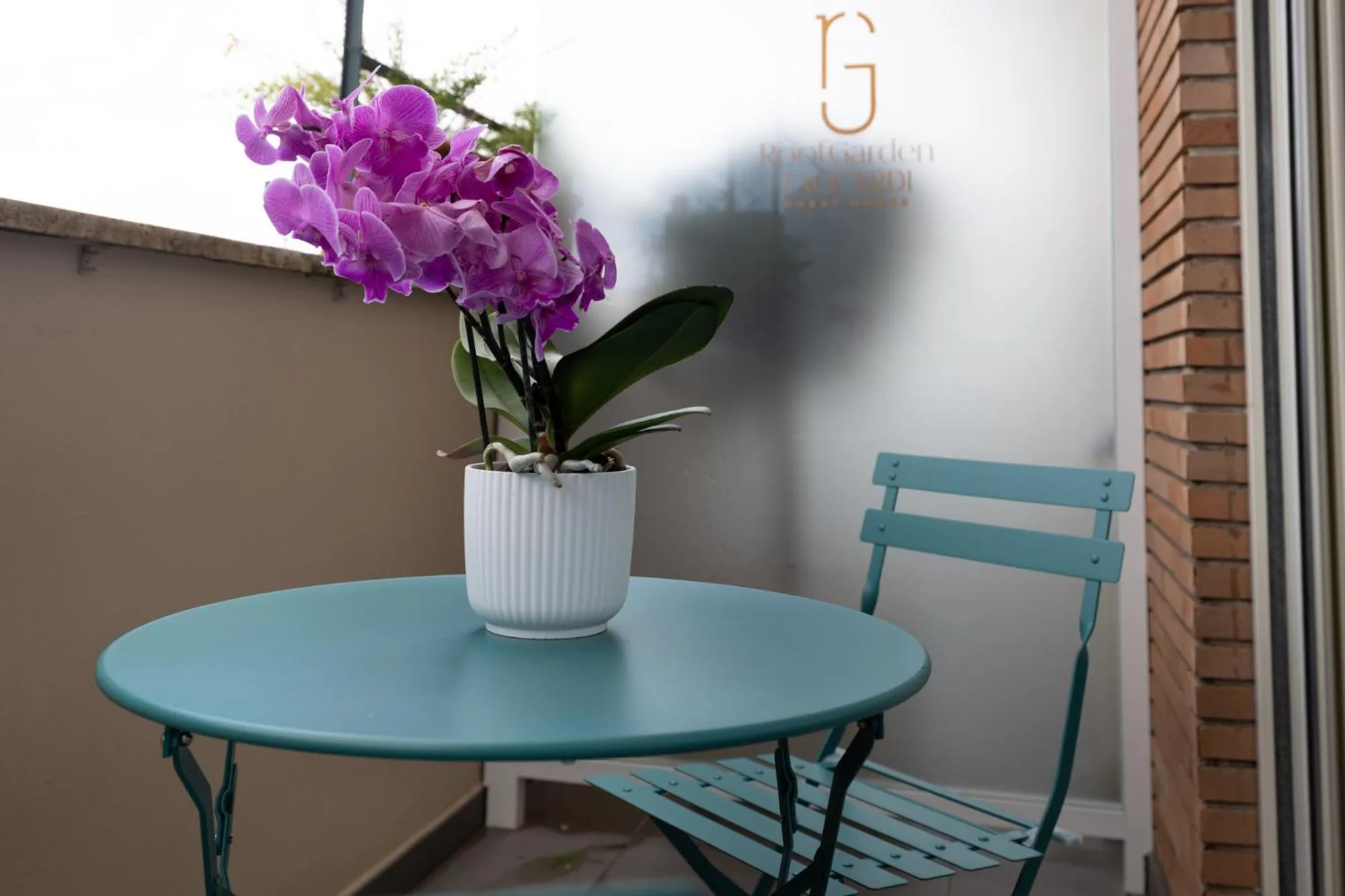 Balcony/Terrace in Zaccardi Roof Garden