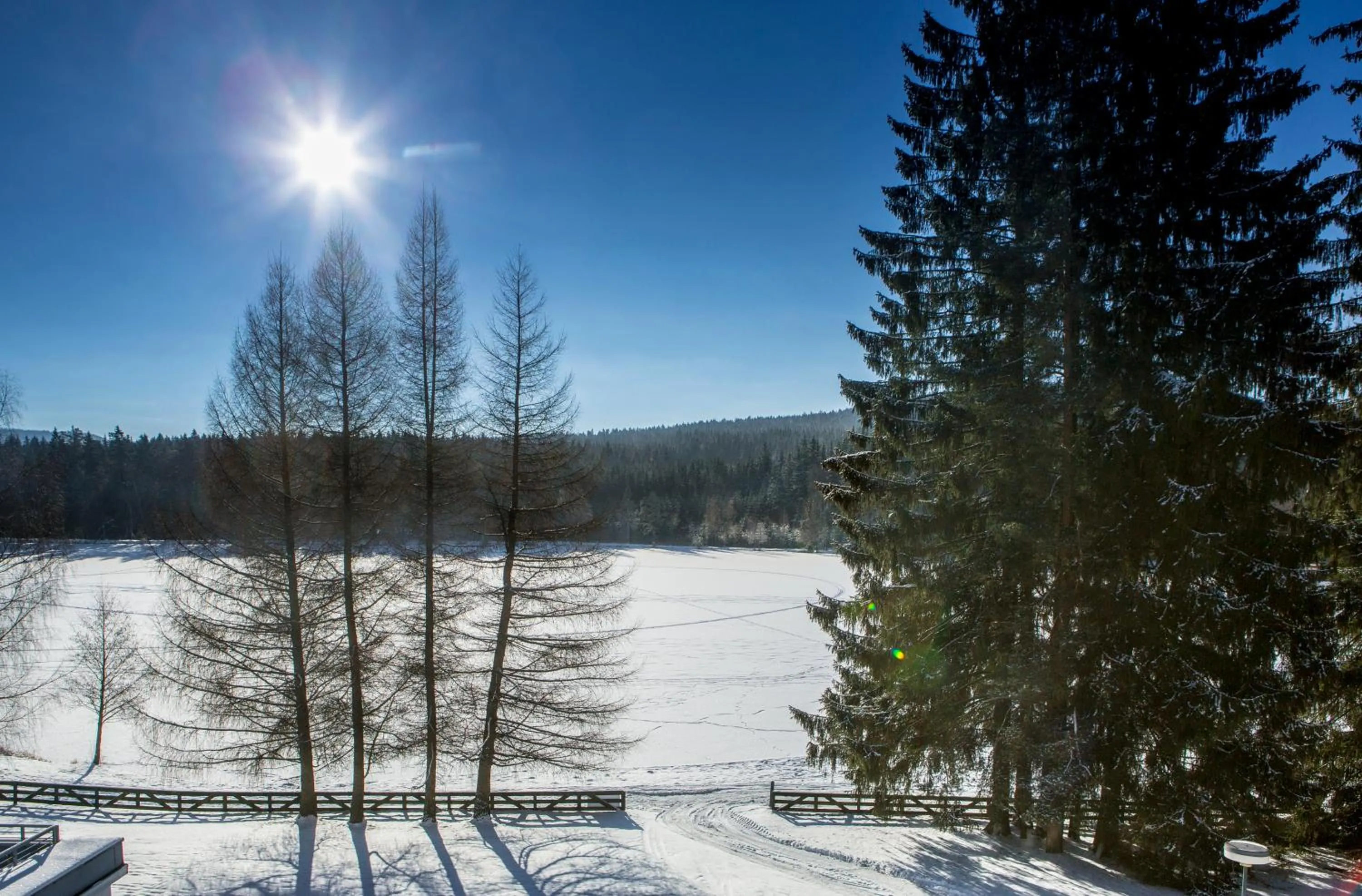 Day in OREA Resort Devět Skal Vysočina