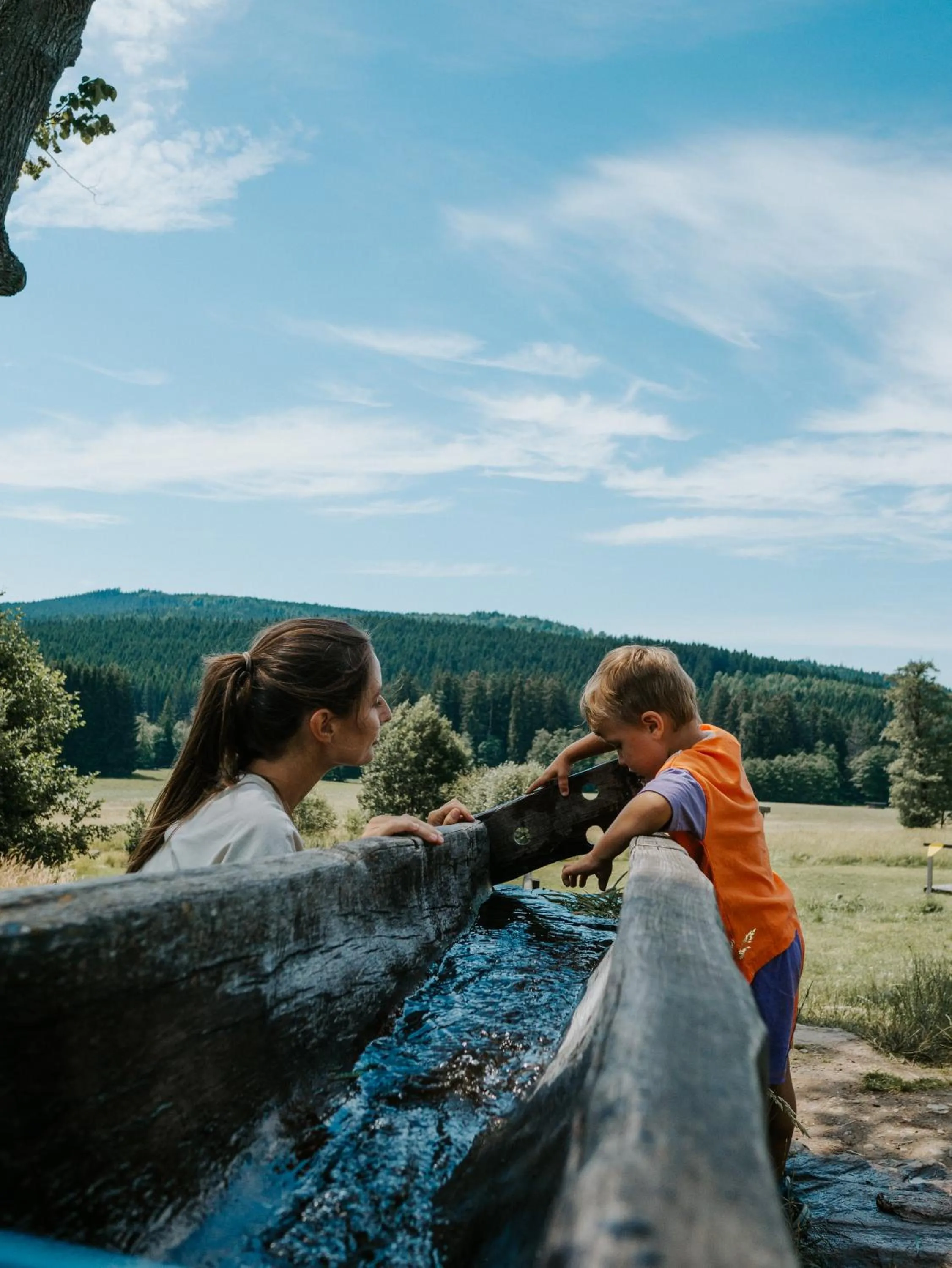 Nearby landmark in OREA Resort Devět Skal Vysočina