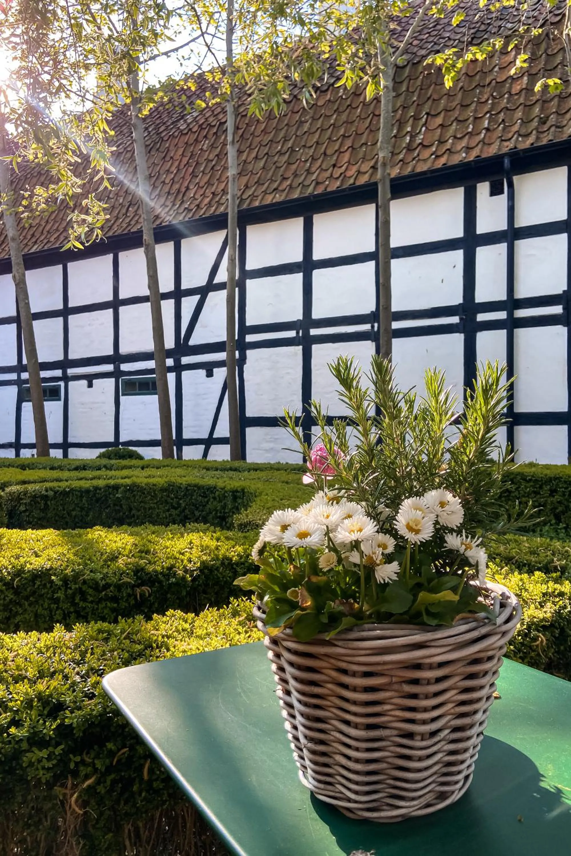 Garden view in Gårdens & Apotekarns B&B