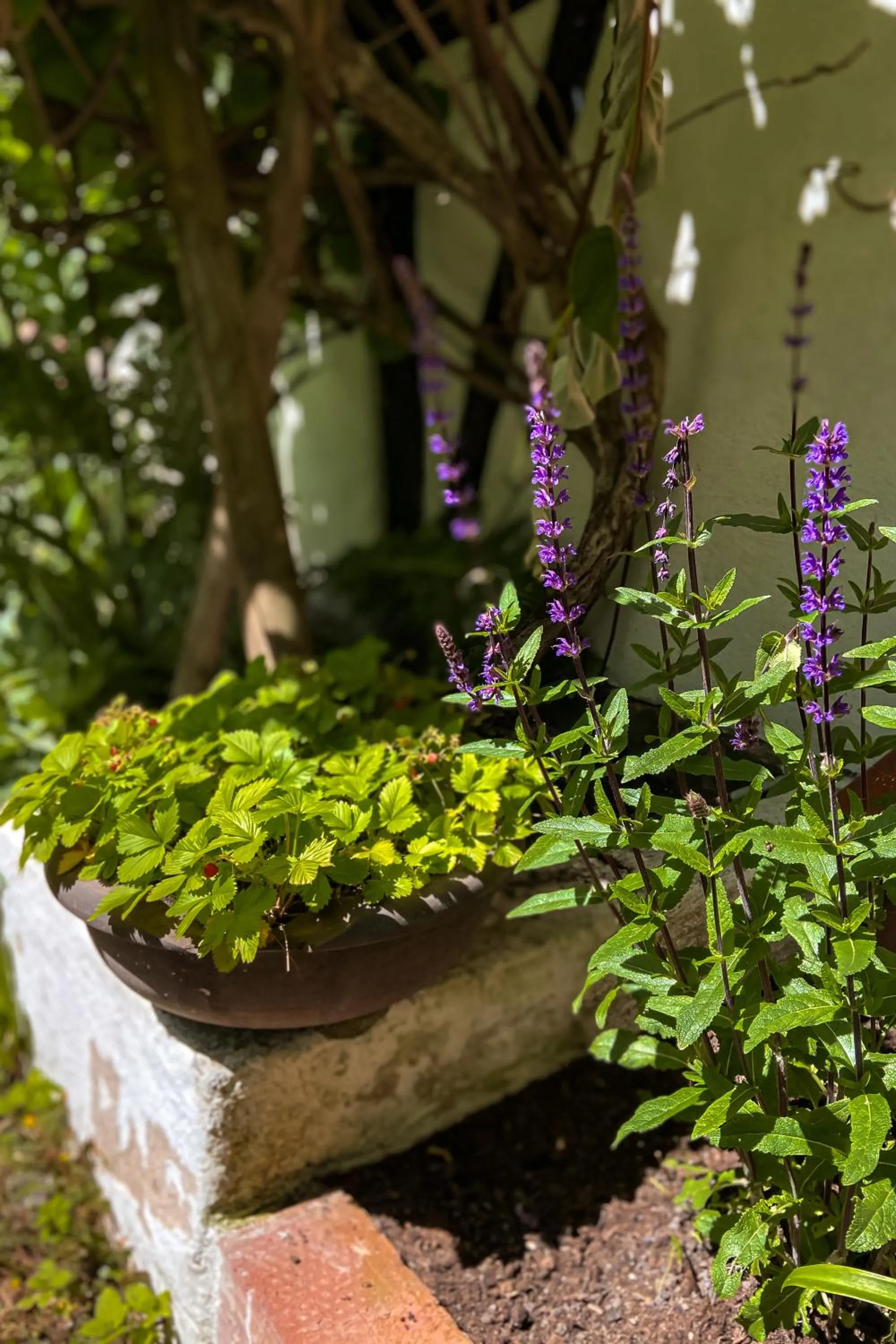 Day in Gårdens & Apotekarns B&B