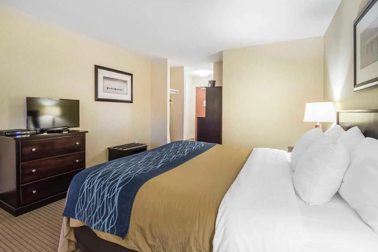 Bed in Comfort Inn & Suites