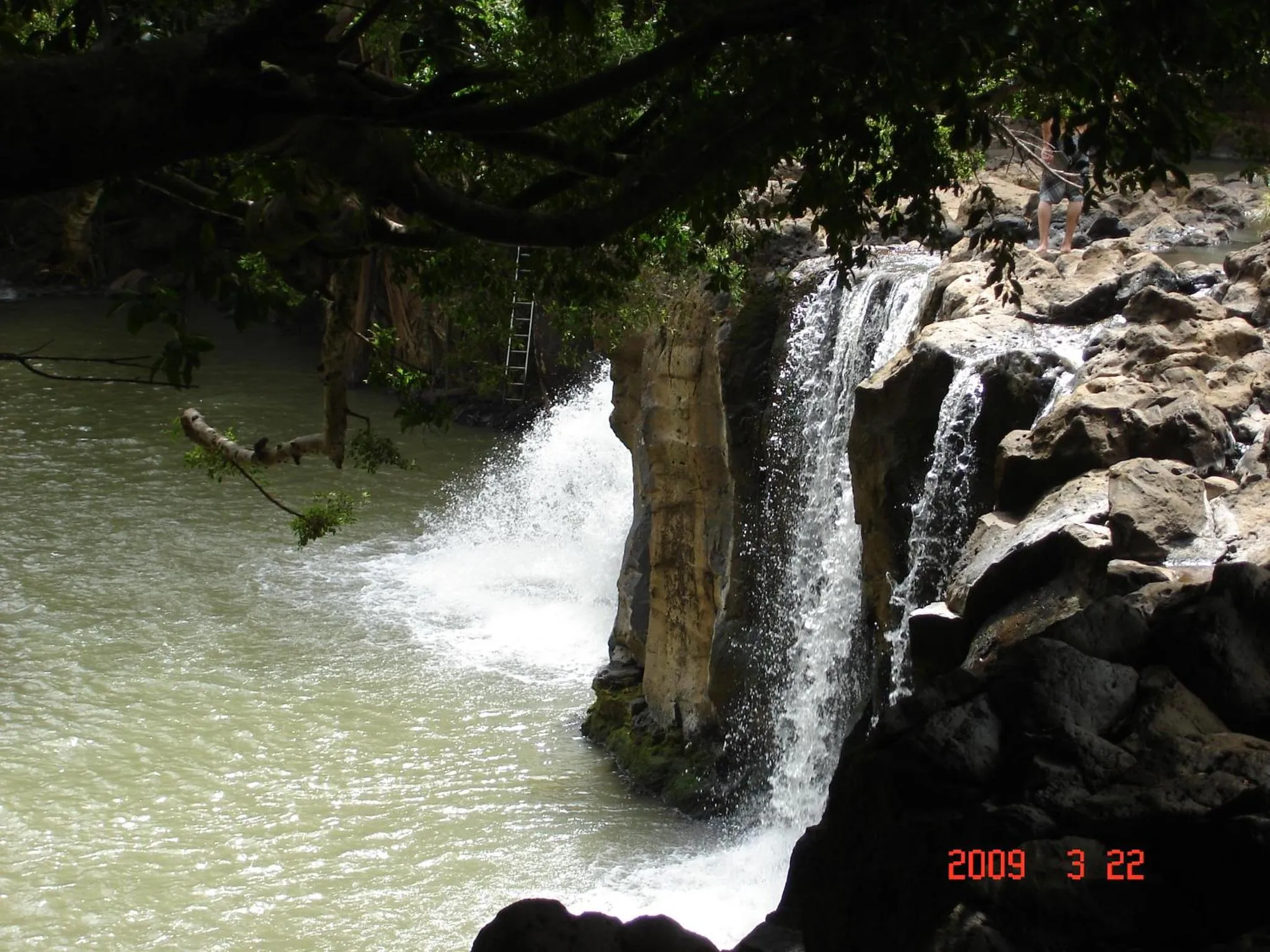 Natural landscape in Islander on the Beach Unit 244