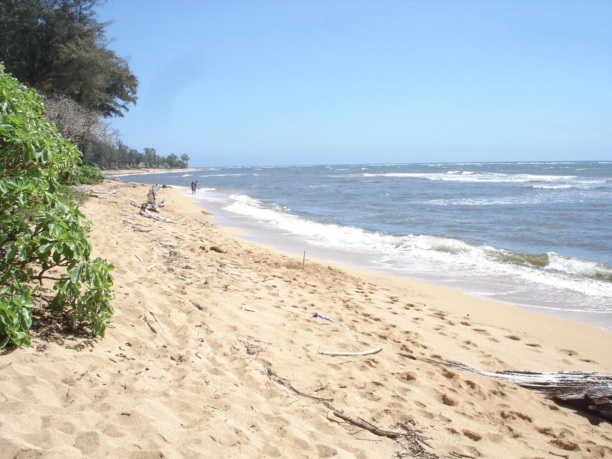 Other in Islander on the Beach Unit 244