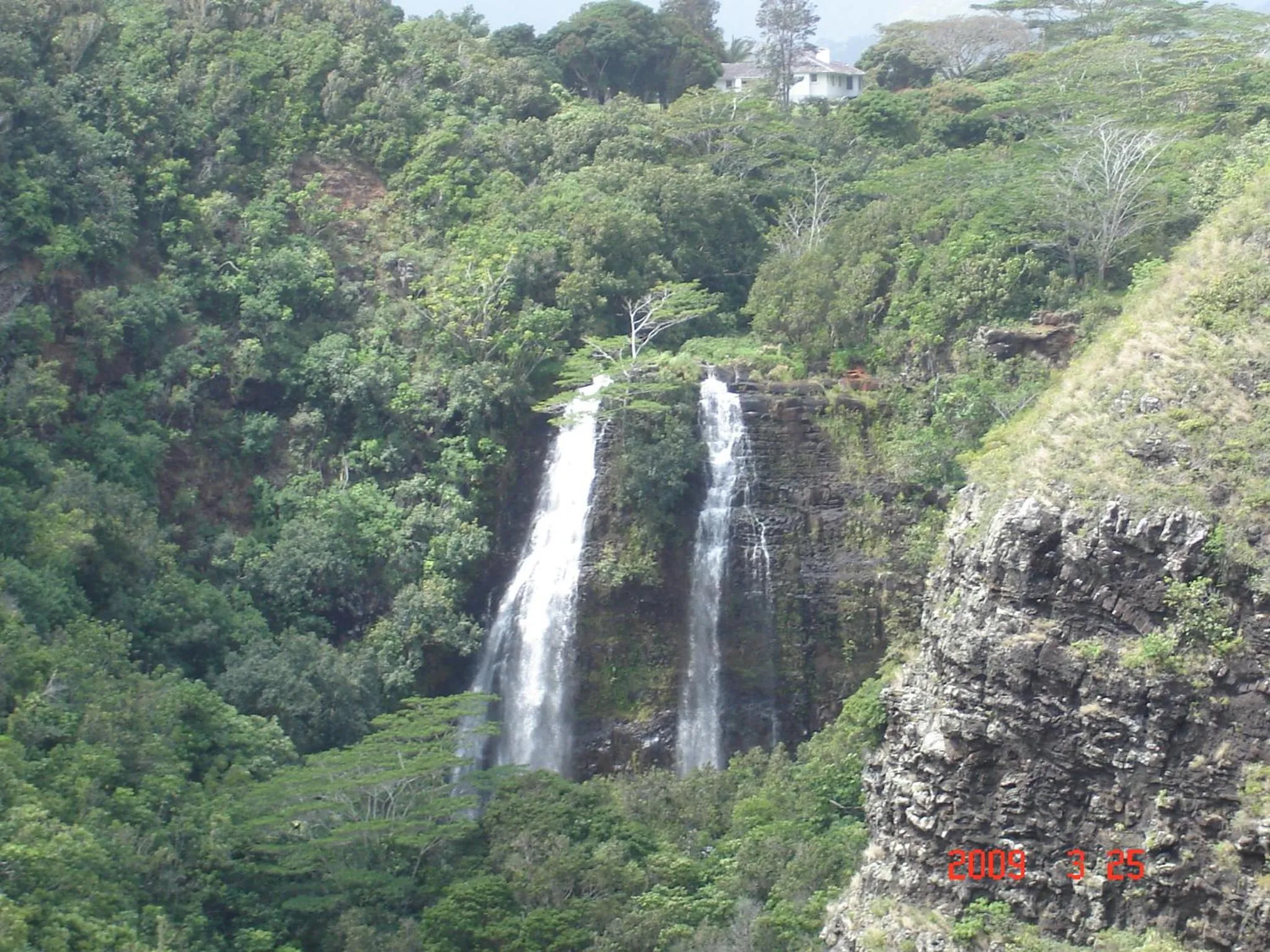 Natural landscape in Islander on the Beach Unit 244