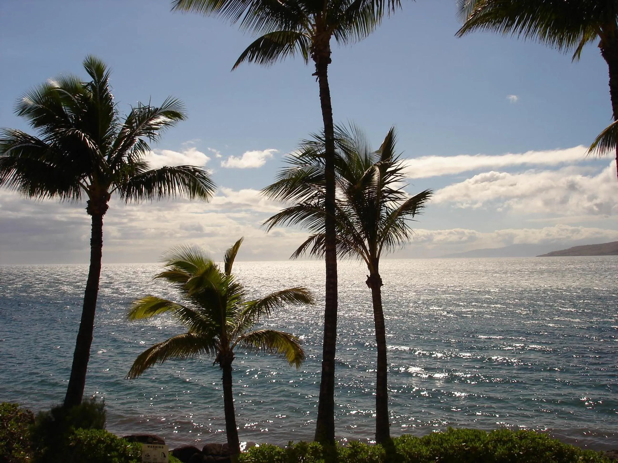 Islander on the Beach Unit 244