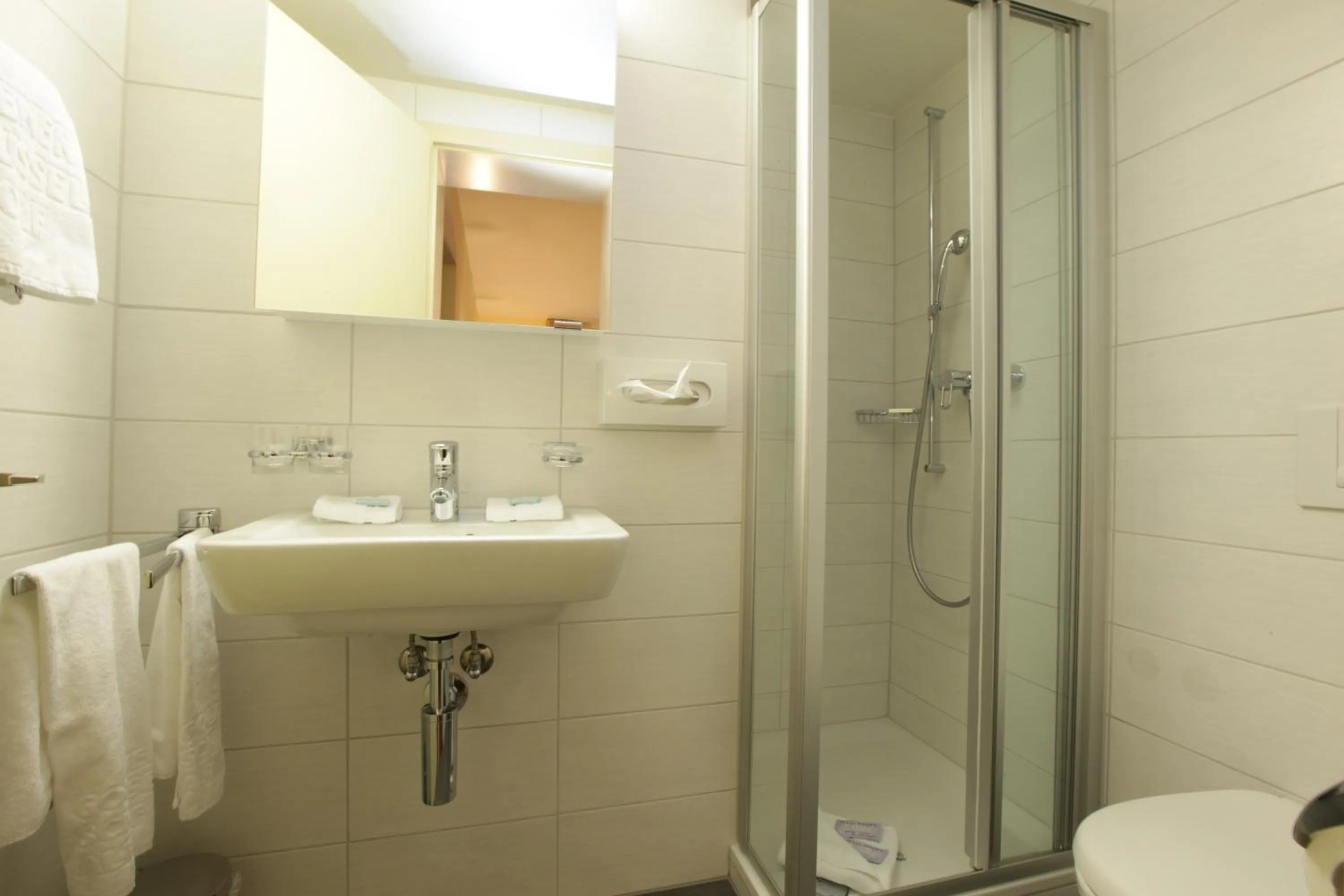 Bathroom in Hotel Goldener Schlüssel