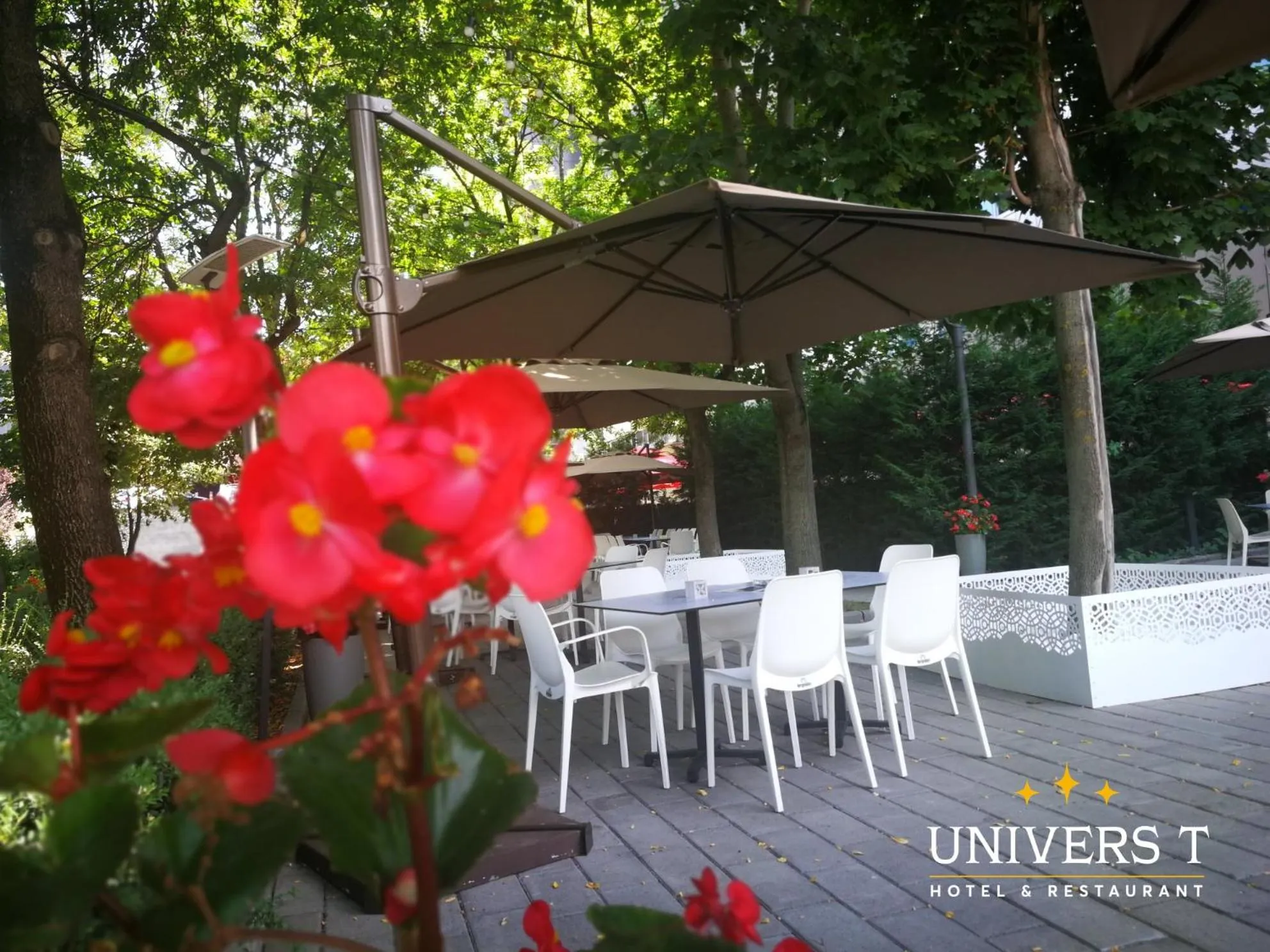 Restaurant/places to eat in Hotel Univers