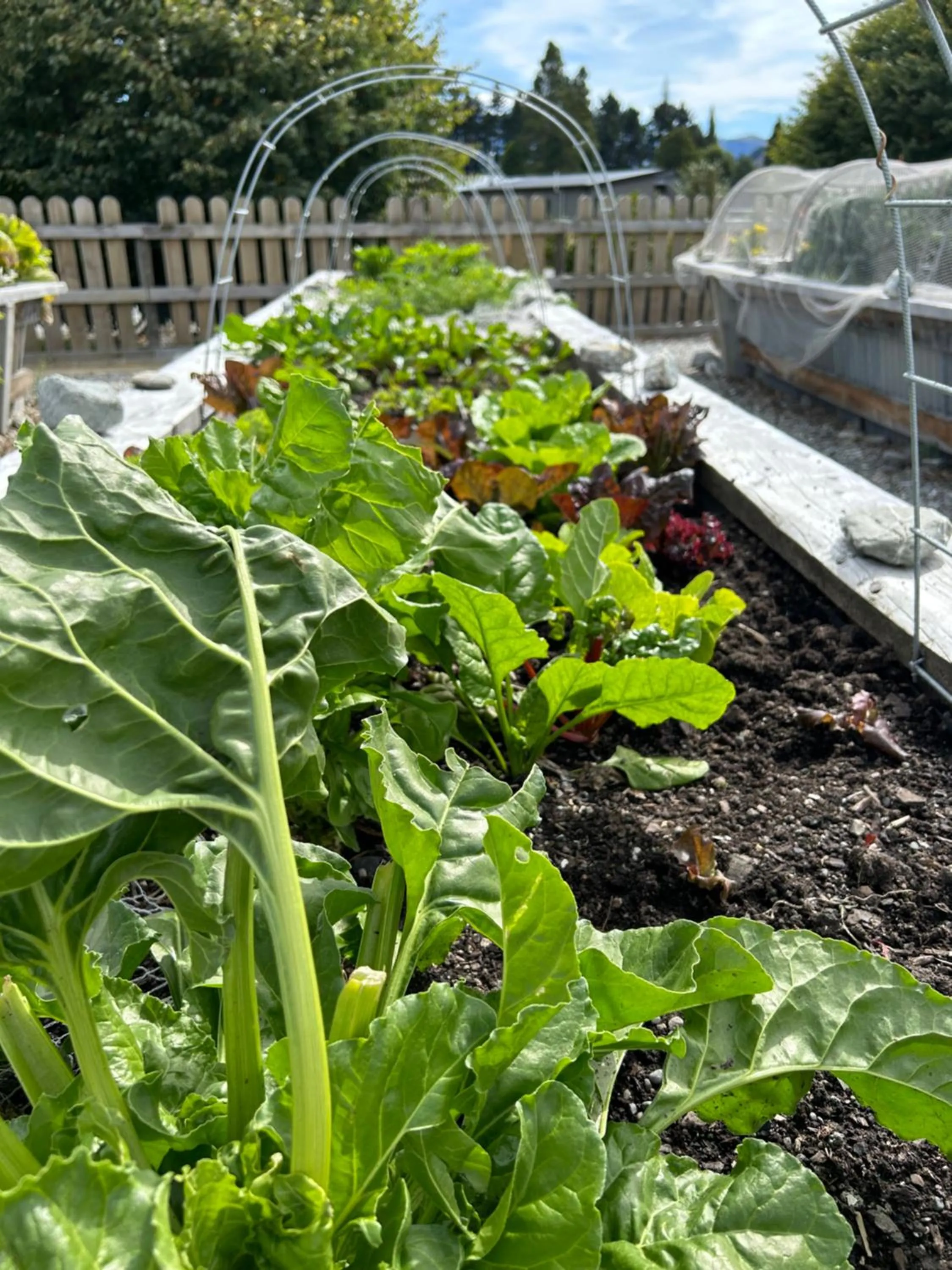 Garden in Headwaters Glenorchy Eco Lodge