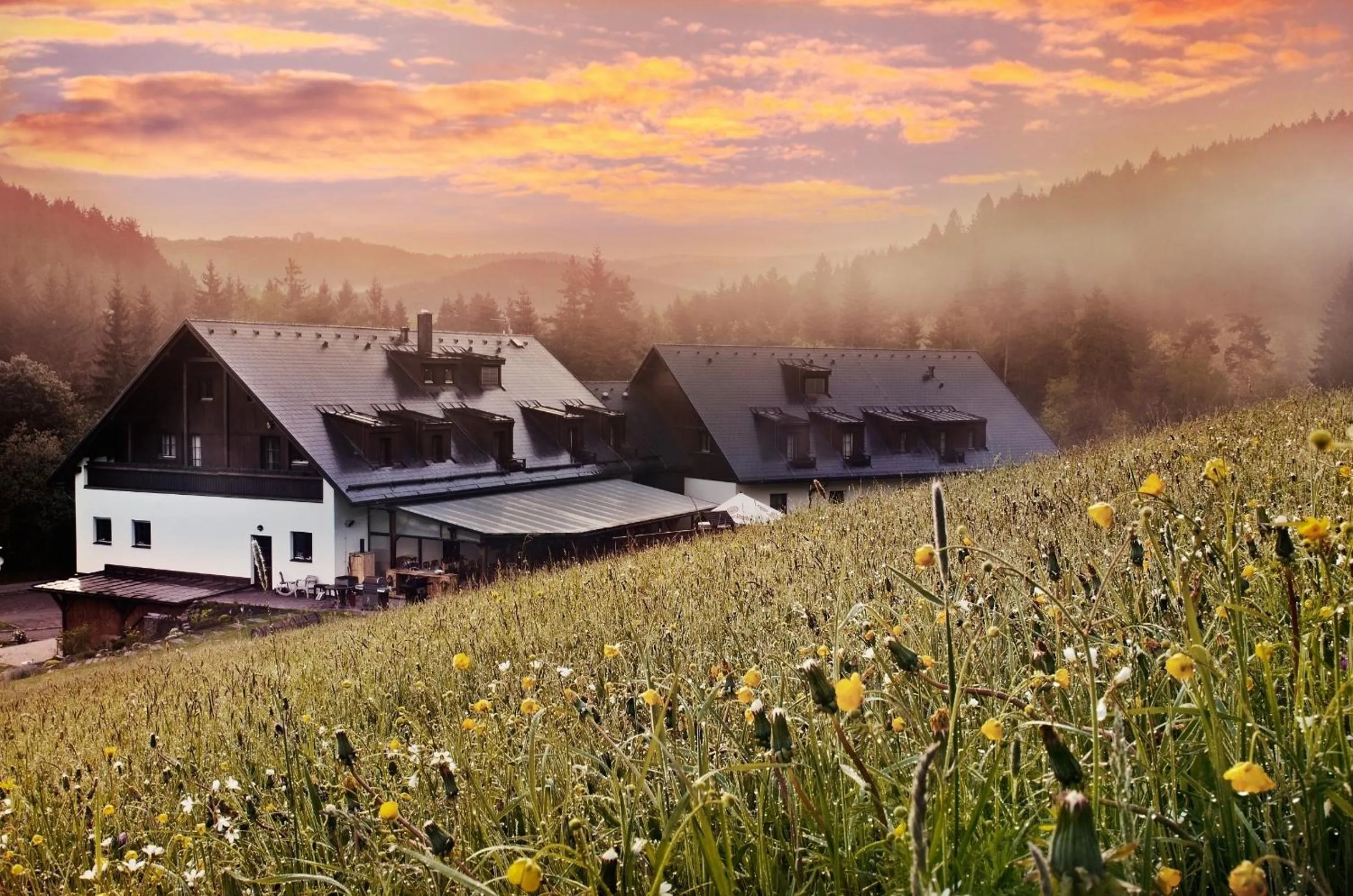 Area and facilities in Hotel Annín