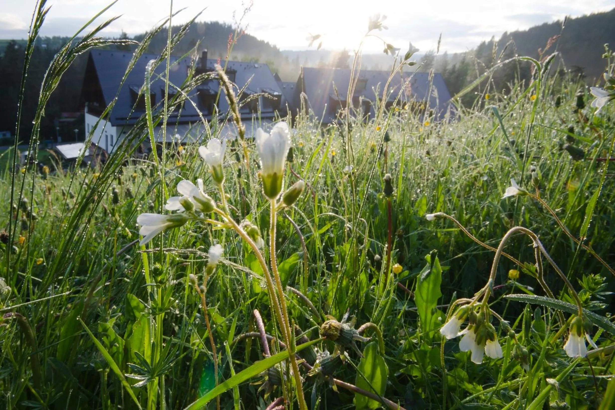 Area and facilities in Hotel Annín