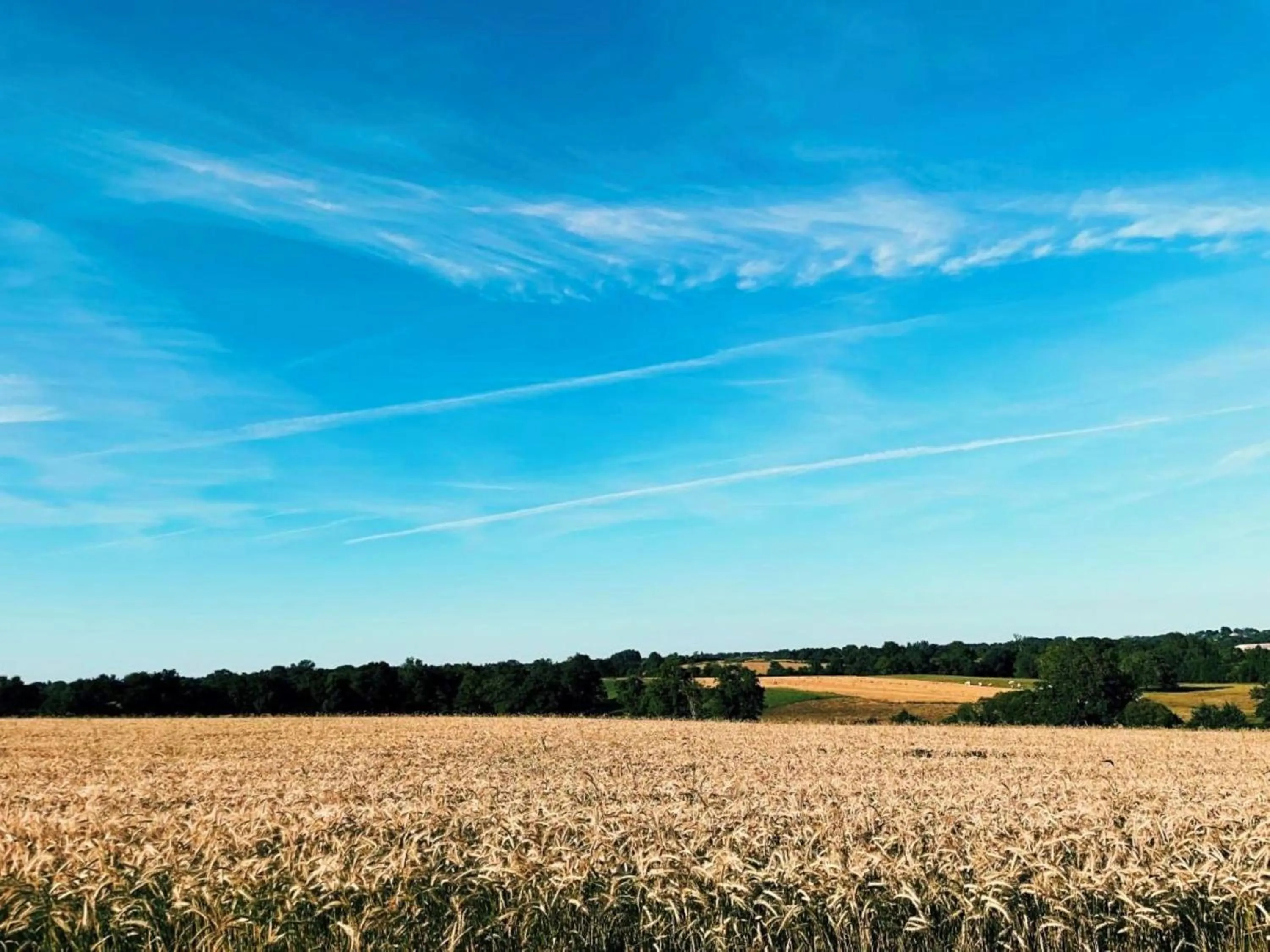 Natural landscape in "La Petite Félixière" à 25 min du Puy du Foù, 10 min de Cholet, et 35 min de Nantes