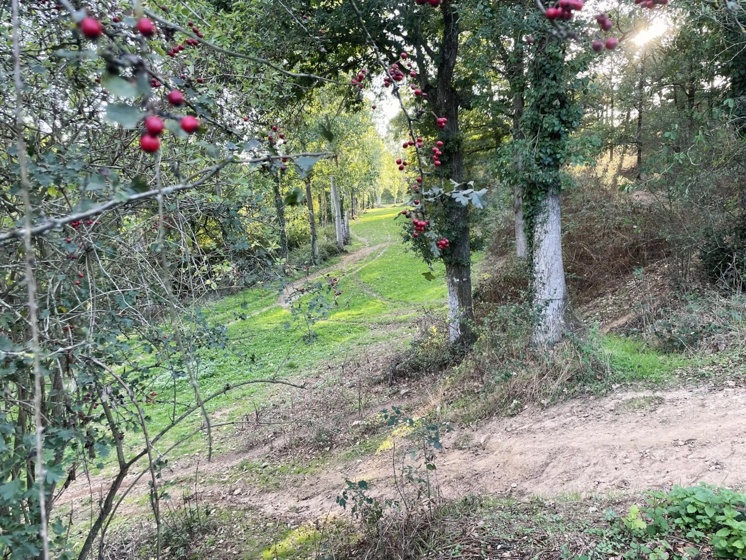 Property building in La Petite Félixière