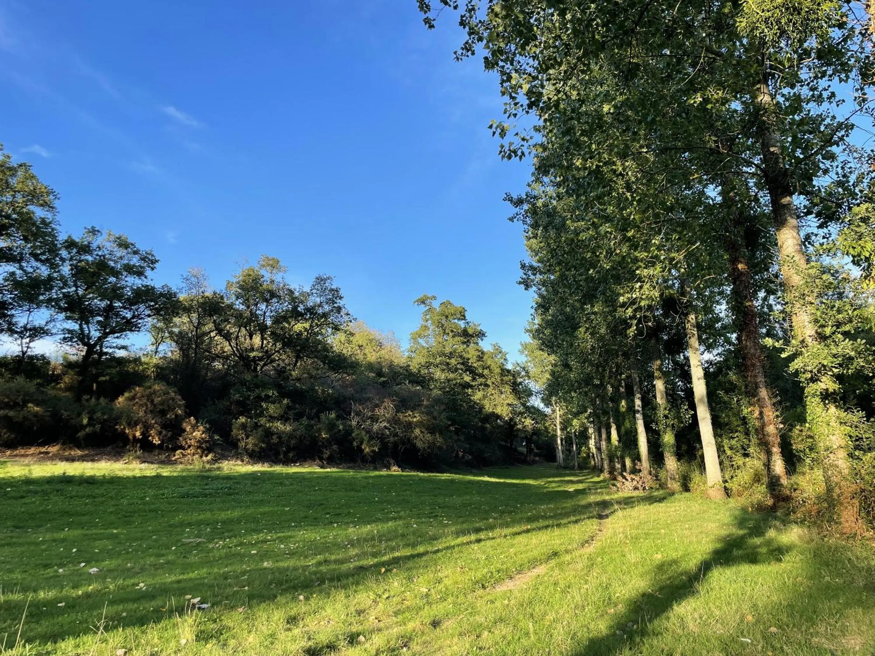 Property building in La Petite Félixière
