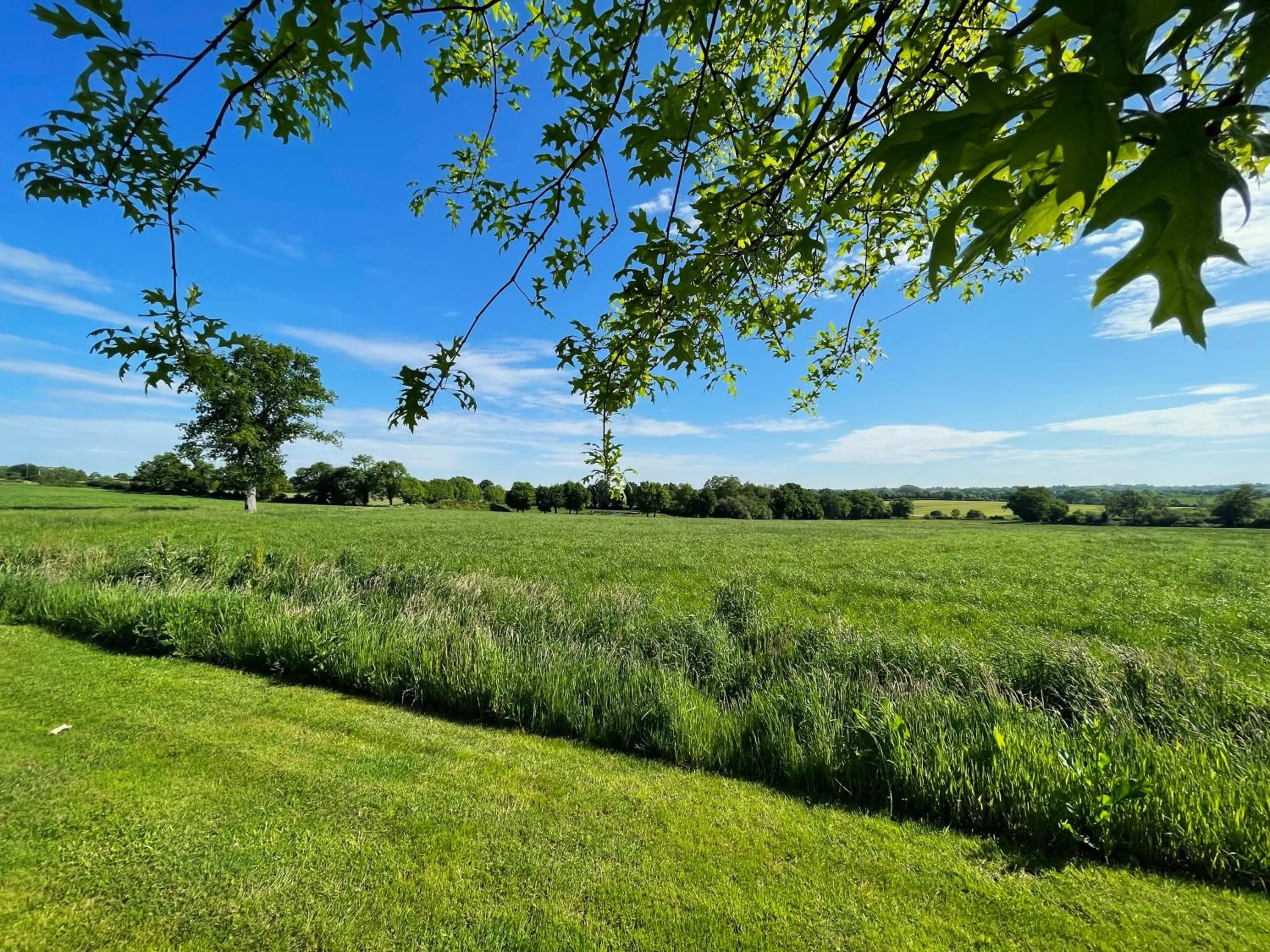Natural landscape in "La Petite Félixière" à 25 min du Puy du Foù, 10 min de Cholet, et 35 min de Nantes