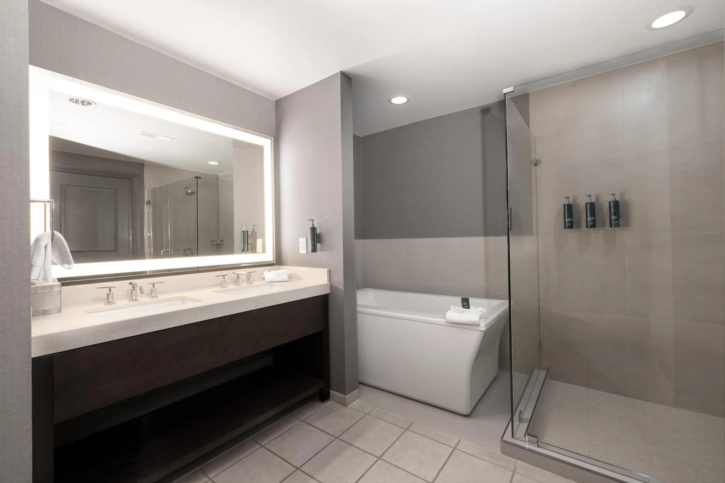 Bathroom in Hilton Promenade Branson Landing