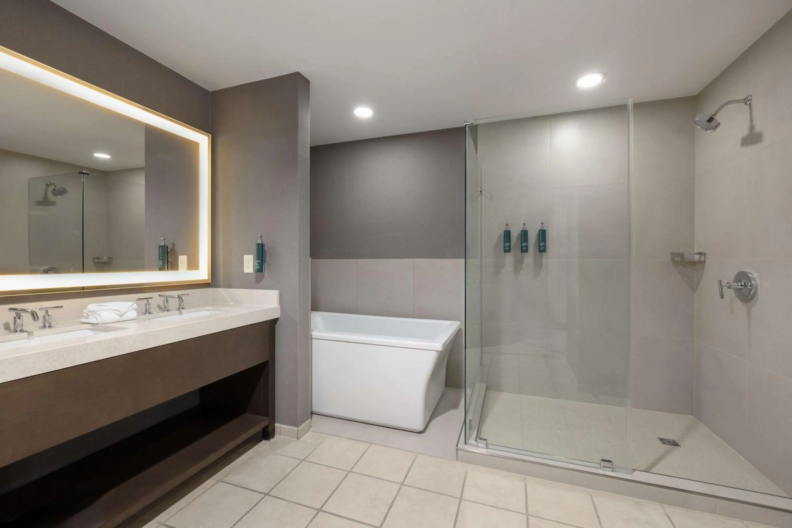 Bathroom in Hilton Promenade Branson Landing