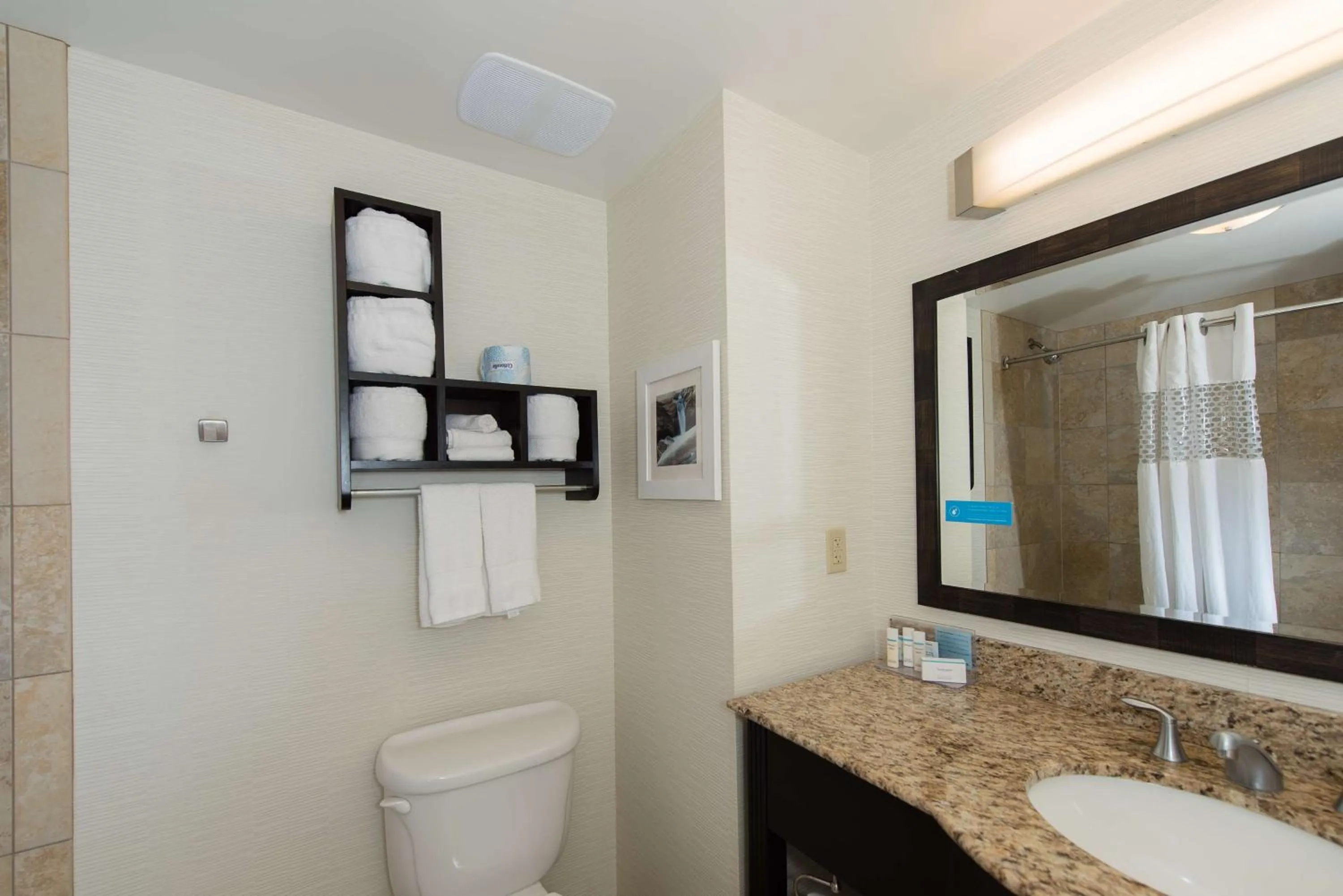 Bathroom in Hampton Inn & Suites Phoenix Chandler Fashion Center