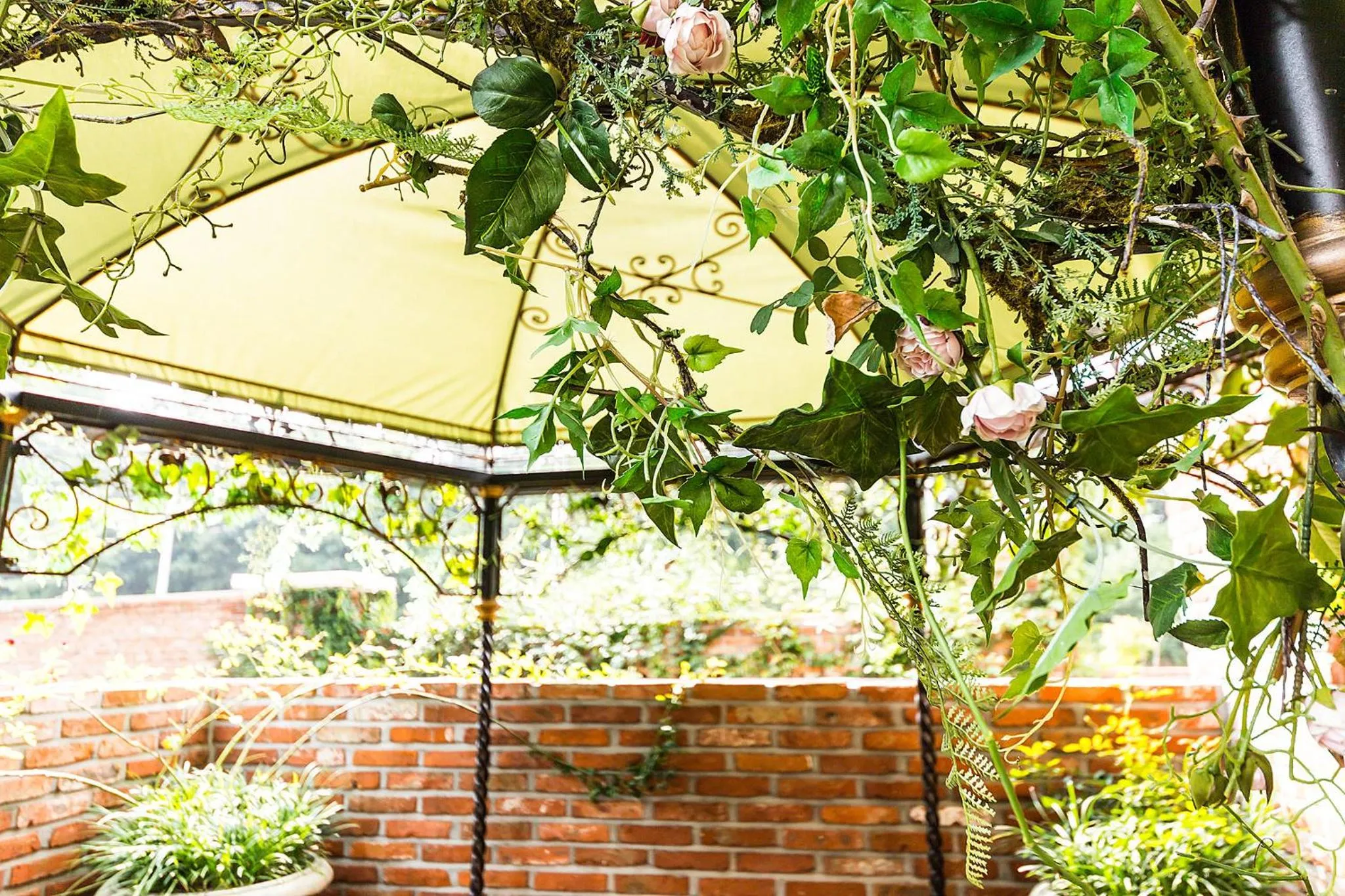 Balcony/Terrace in Roseto Hotel