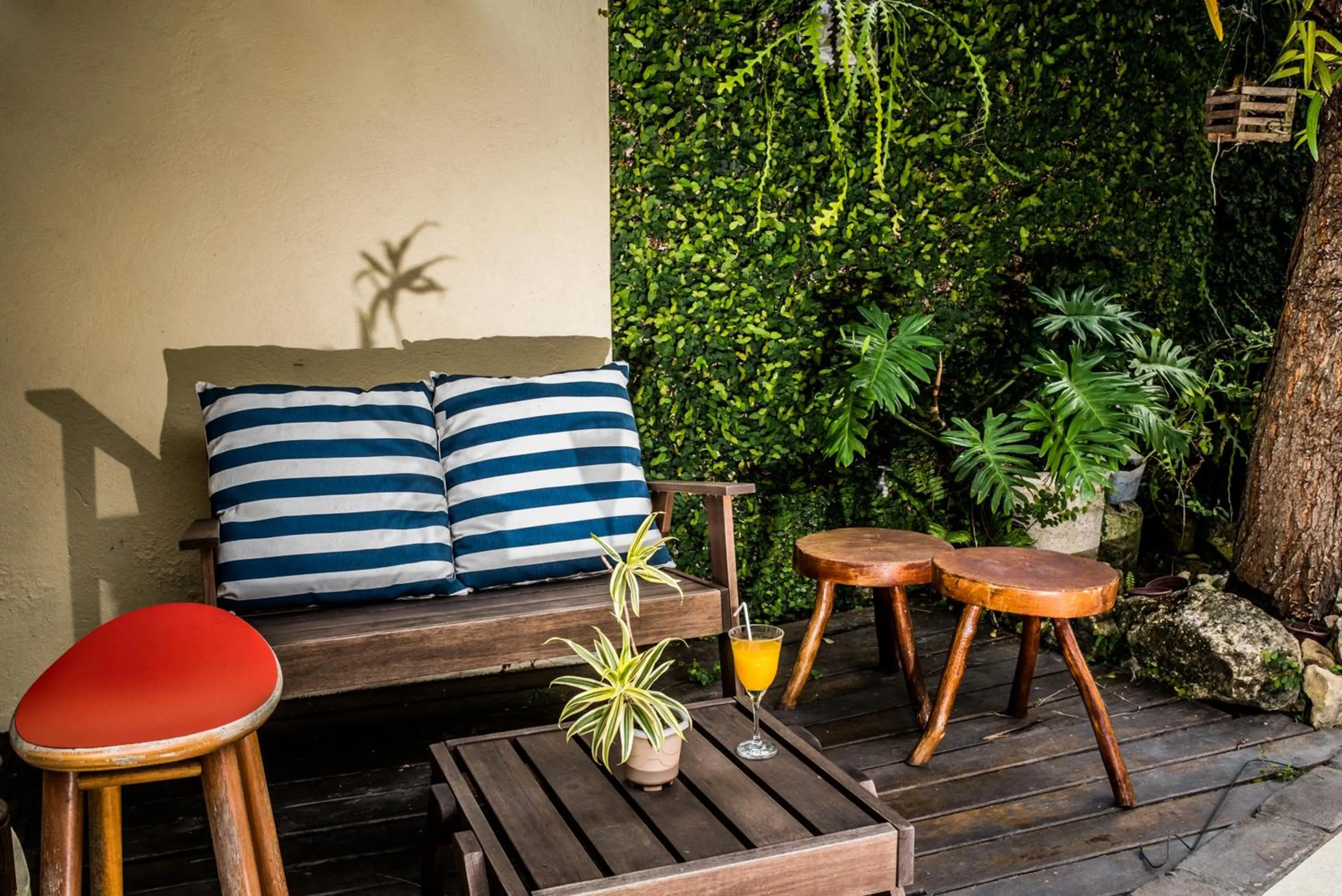 Patio in Pousada Baobá e SPA