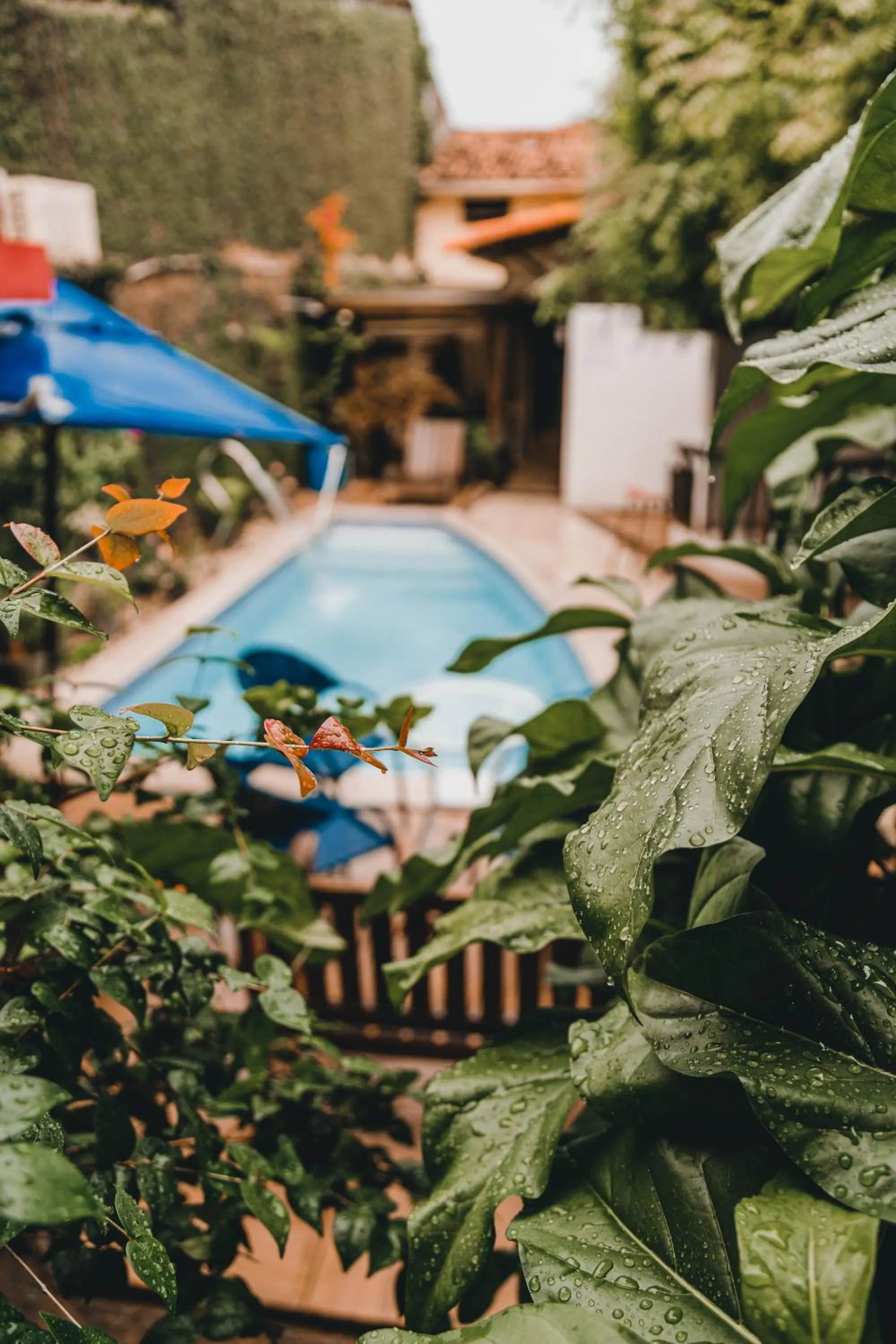 Pool view in Pousada Baobá e SPA