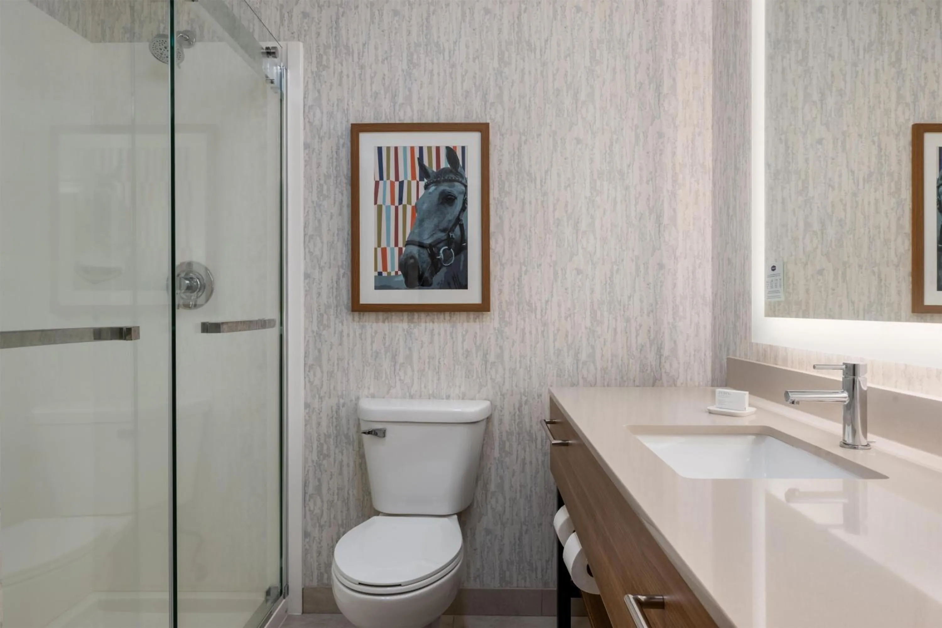 Bathroom in Hampton Inn Owensboro